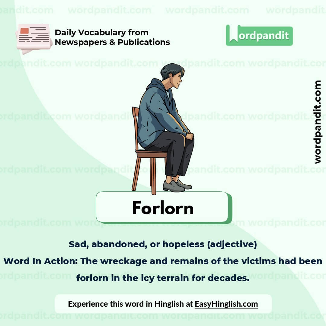 Forlorn Picture Vocabulary