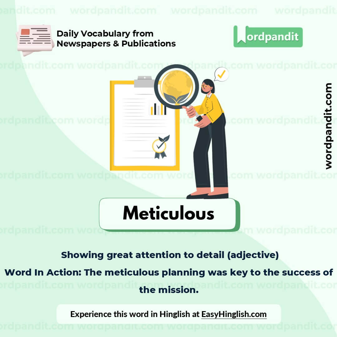 Meticulous Picture Vocabulary