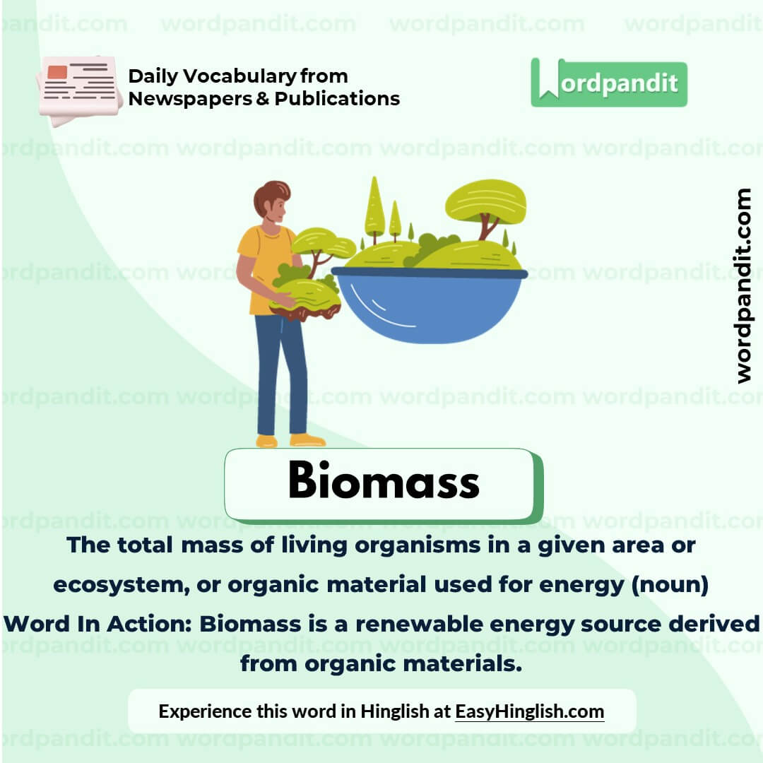 Biomass Vocabulary Picture