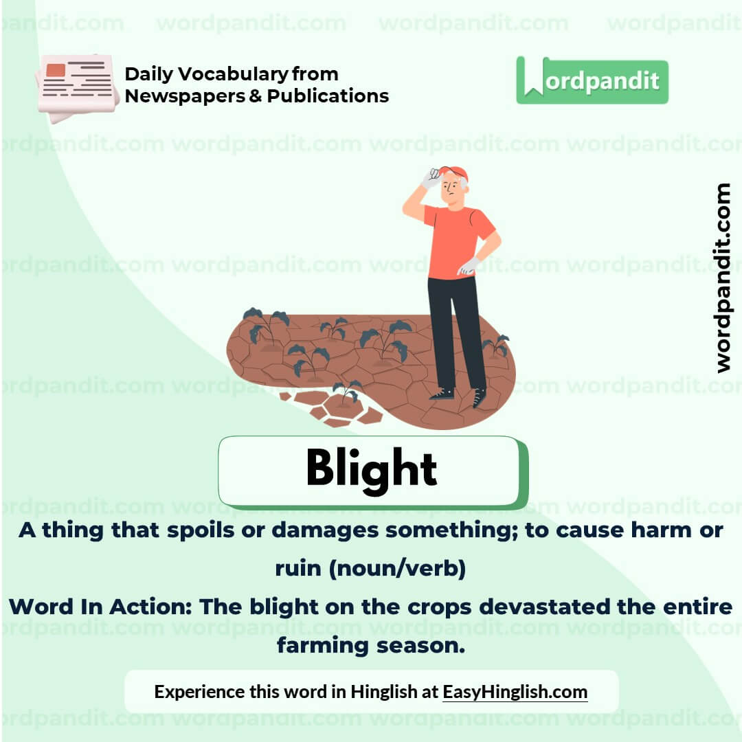 Blight Vocabulary Picture