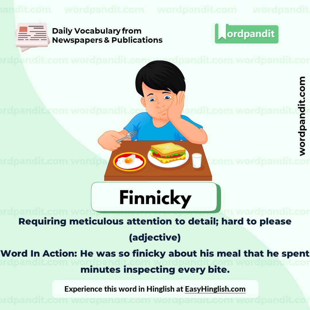 Finnicky Vocabulary Picture