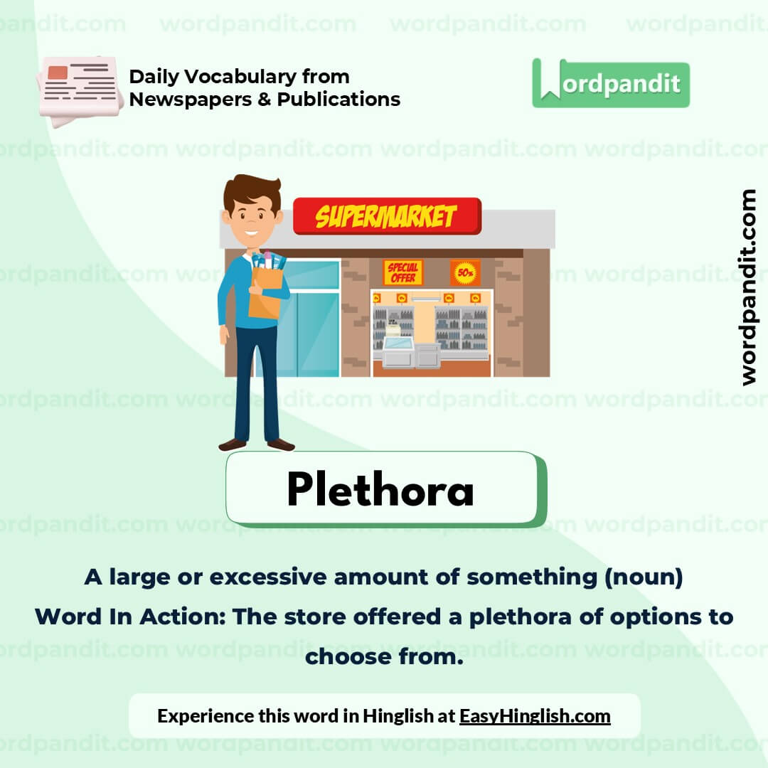 Plethora Picture Vocabulary