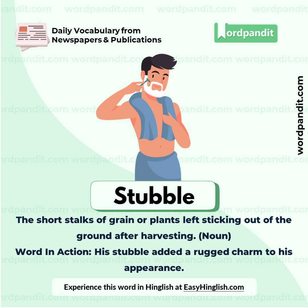 Stubble Vocabulary Picture