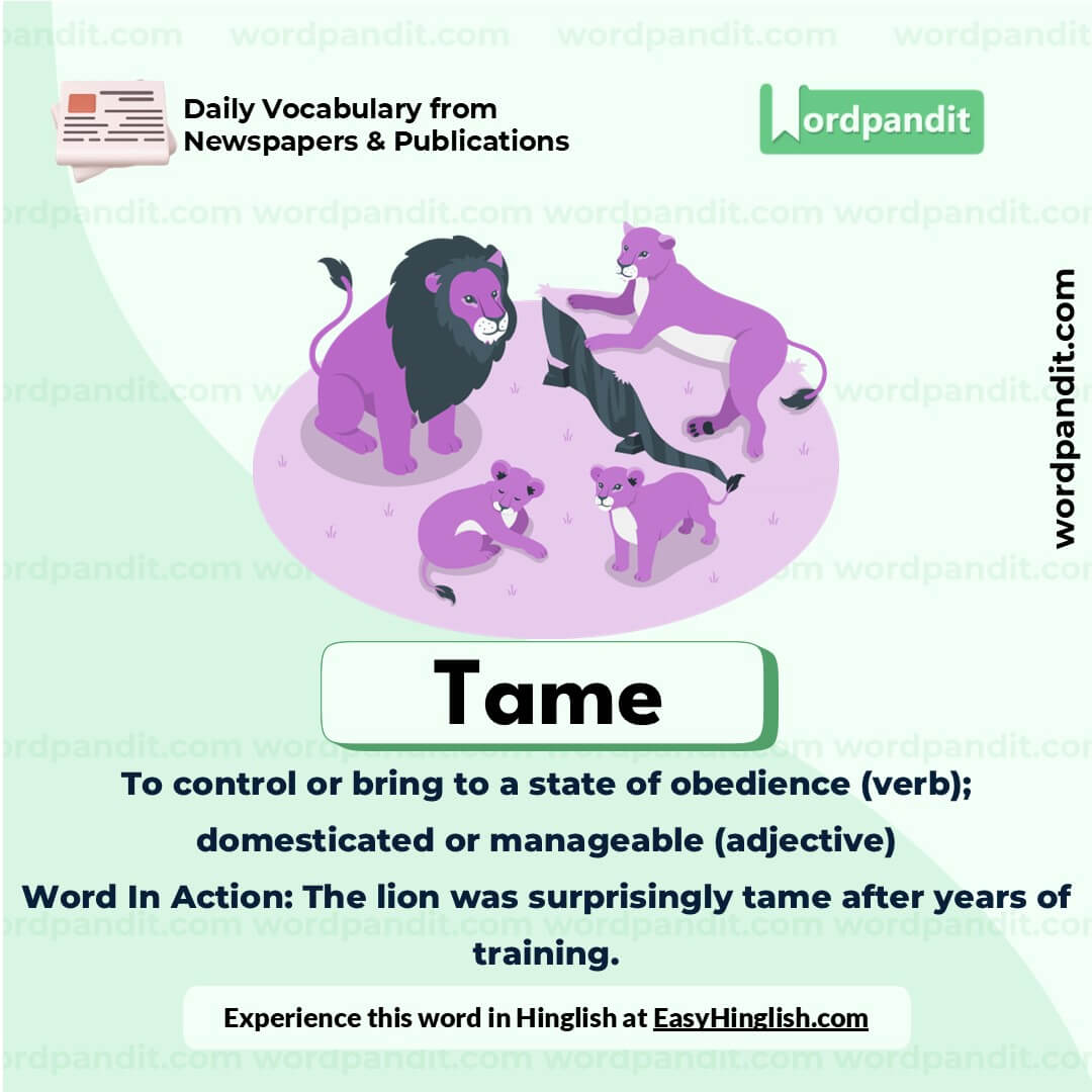 Tame Vocabulary Post