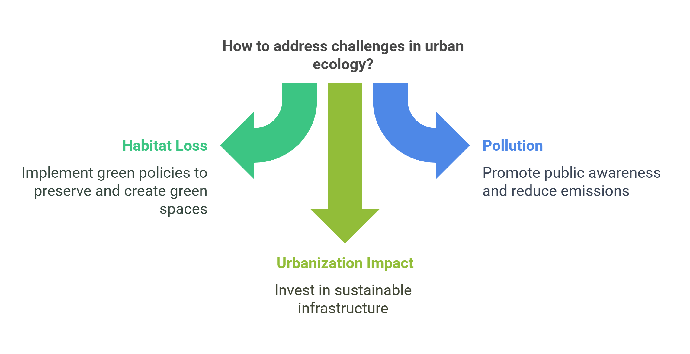 Addressing Challenges In Urban Ecology