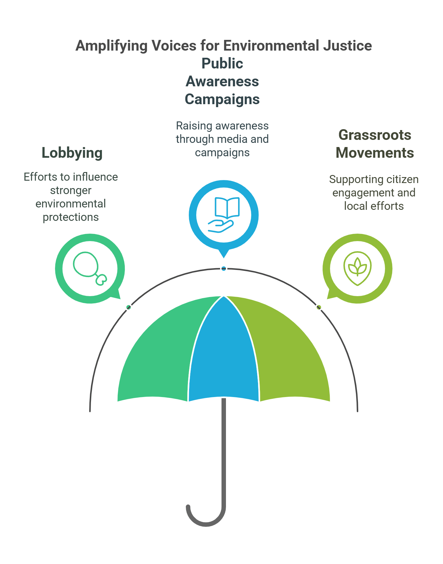 Amplifying Voices For Environmental Justice Awareness Campaigns
