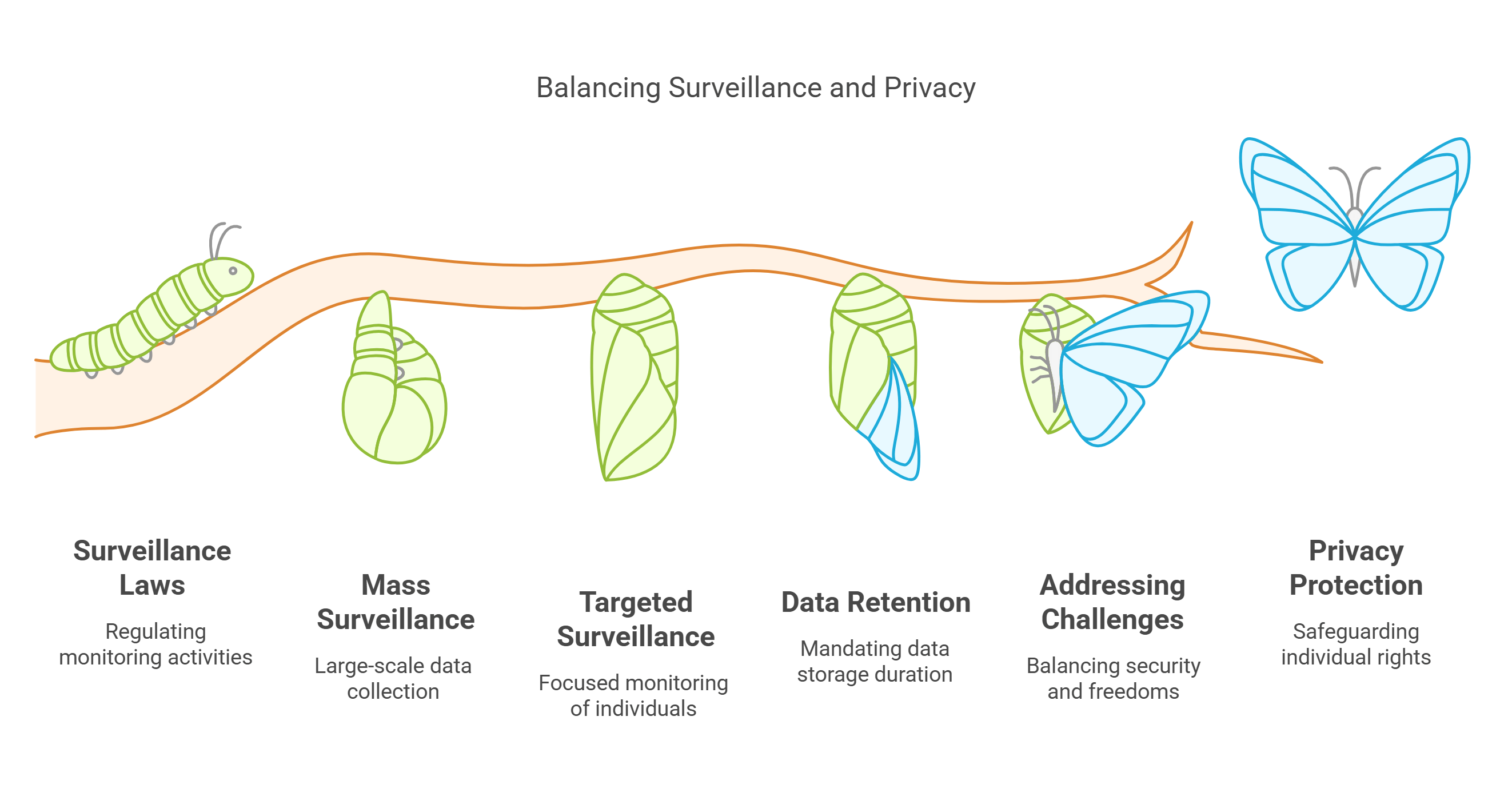 Balancing Surveillance And Privacy Legal And Ethical Aspects