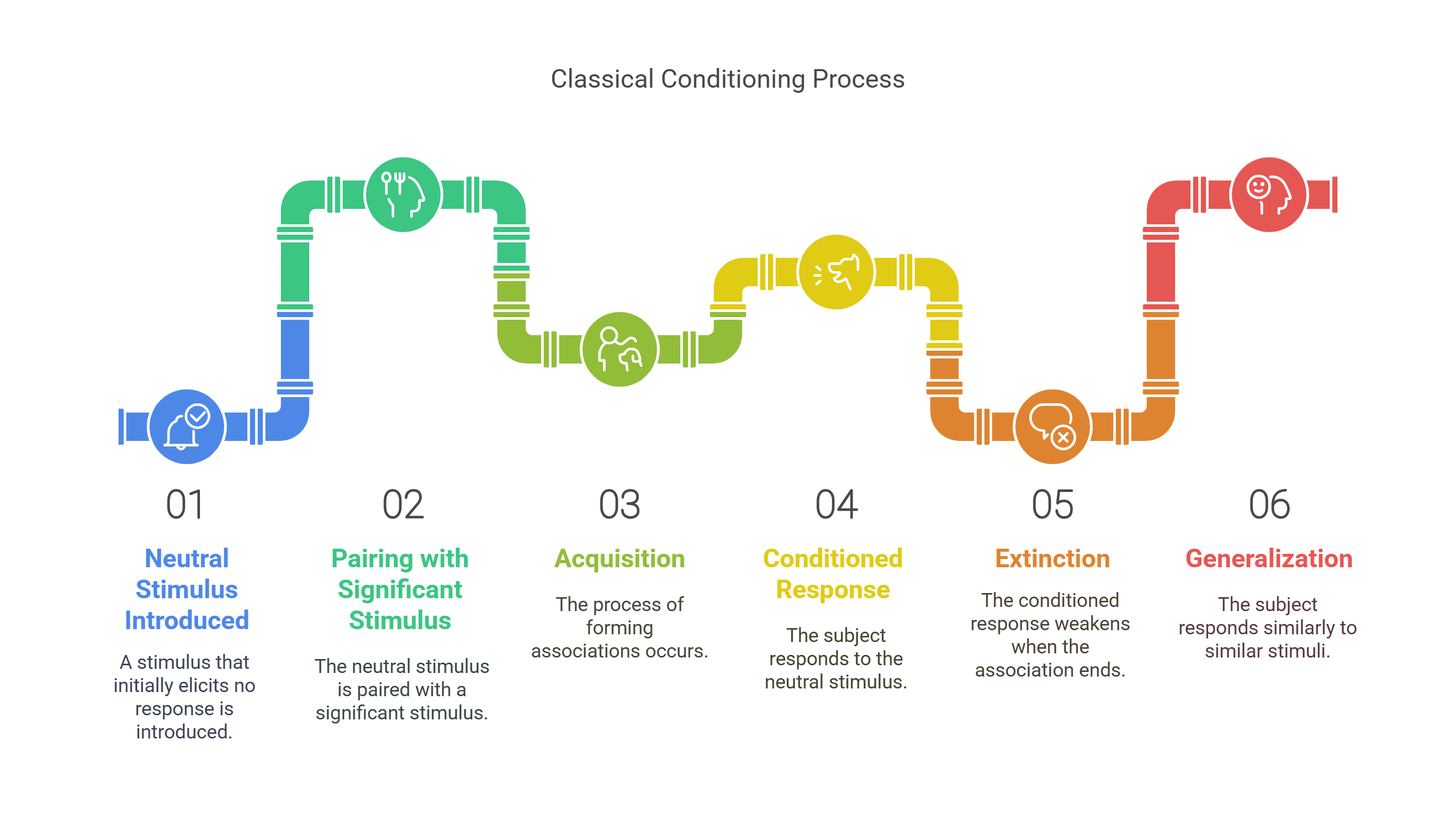 Classical Conditioning Process Explained