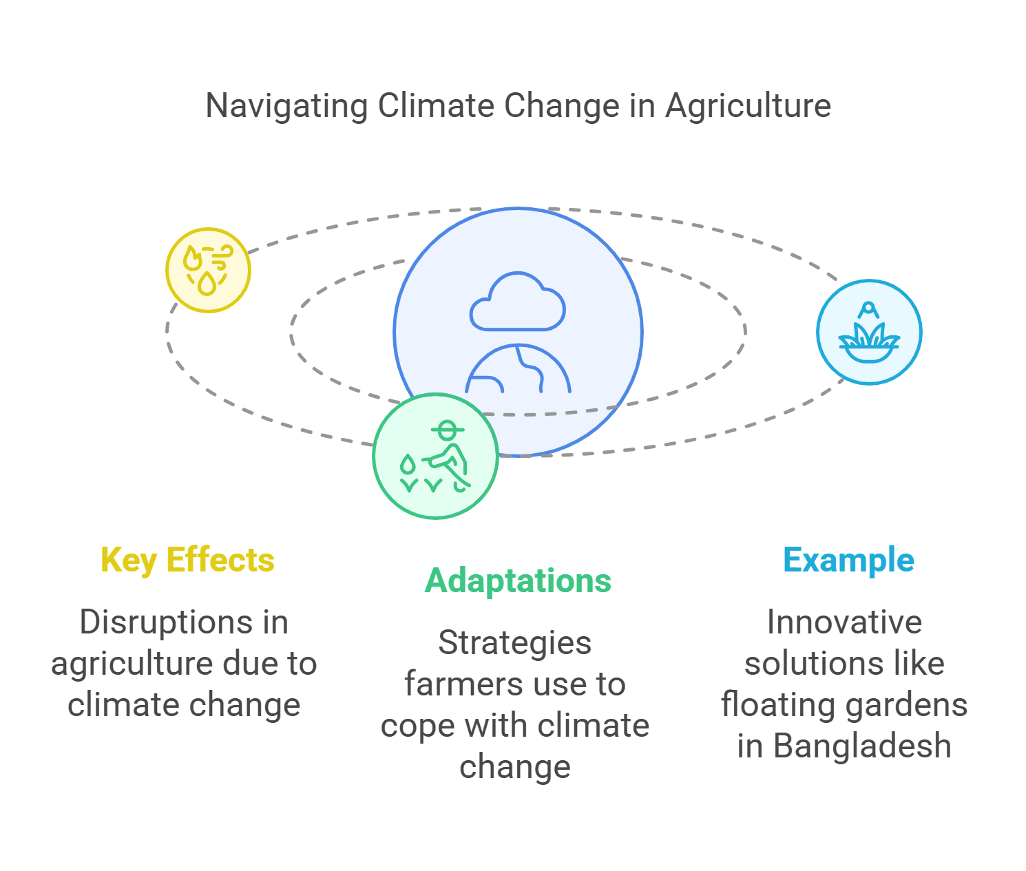 Climate Change And Agriculture Adaptation