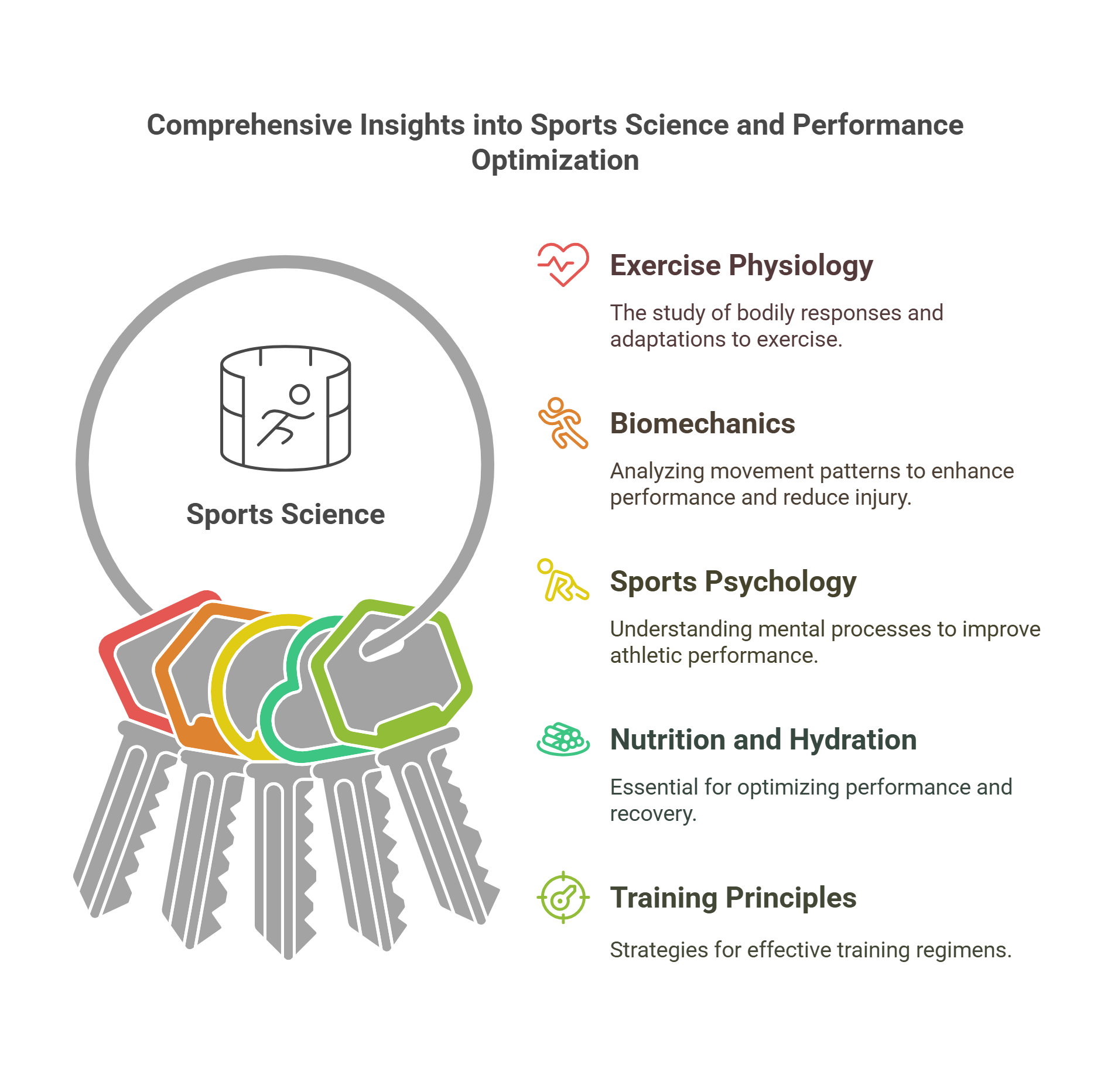Comprehensive Insights Into Sports Science