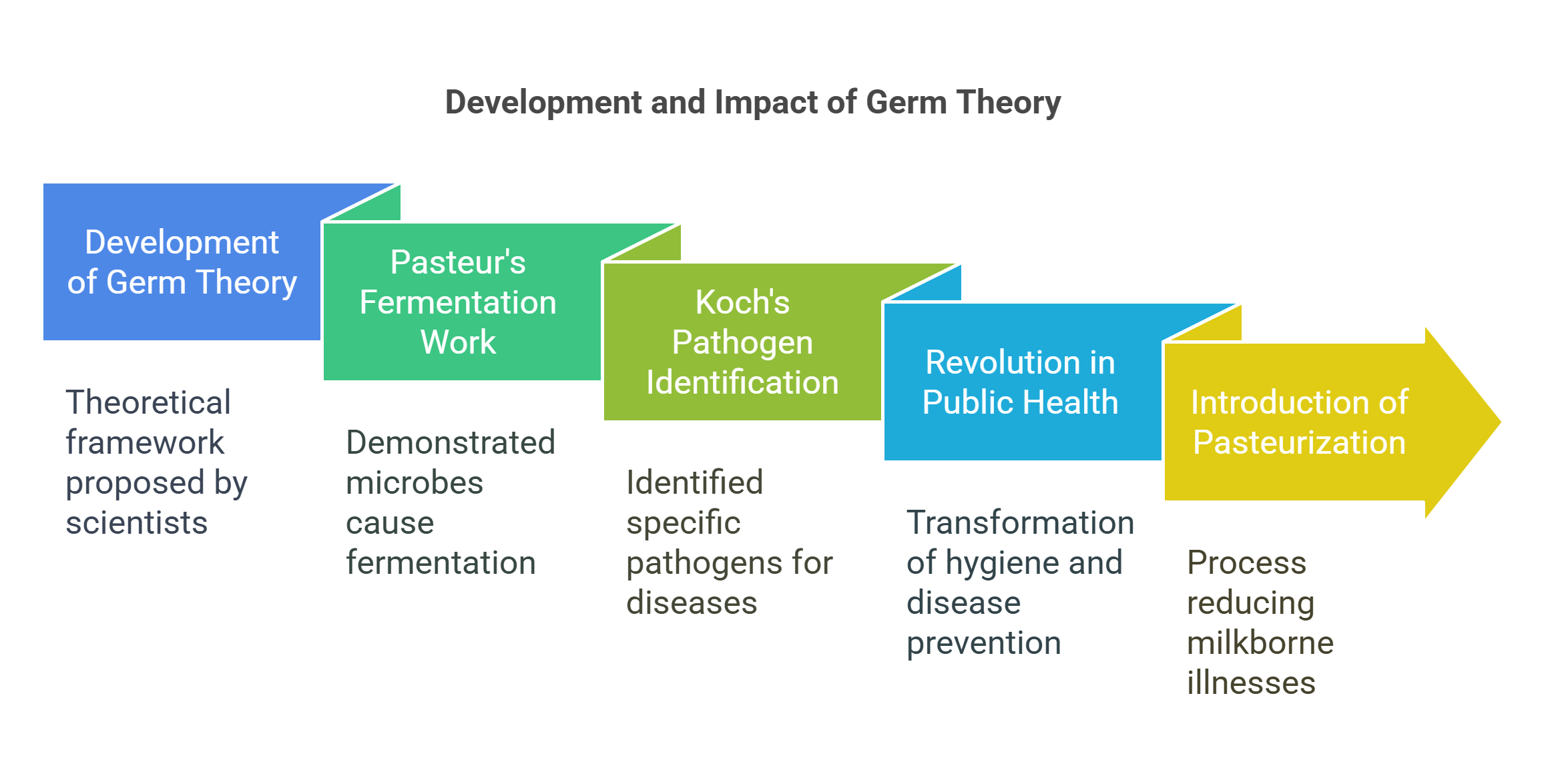 Development And Impact Of Germ Theory