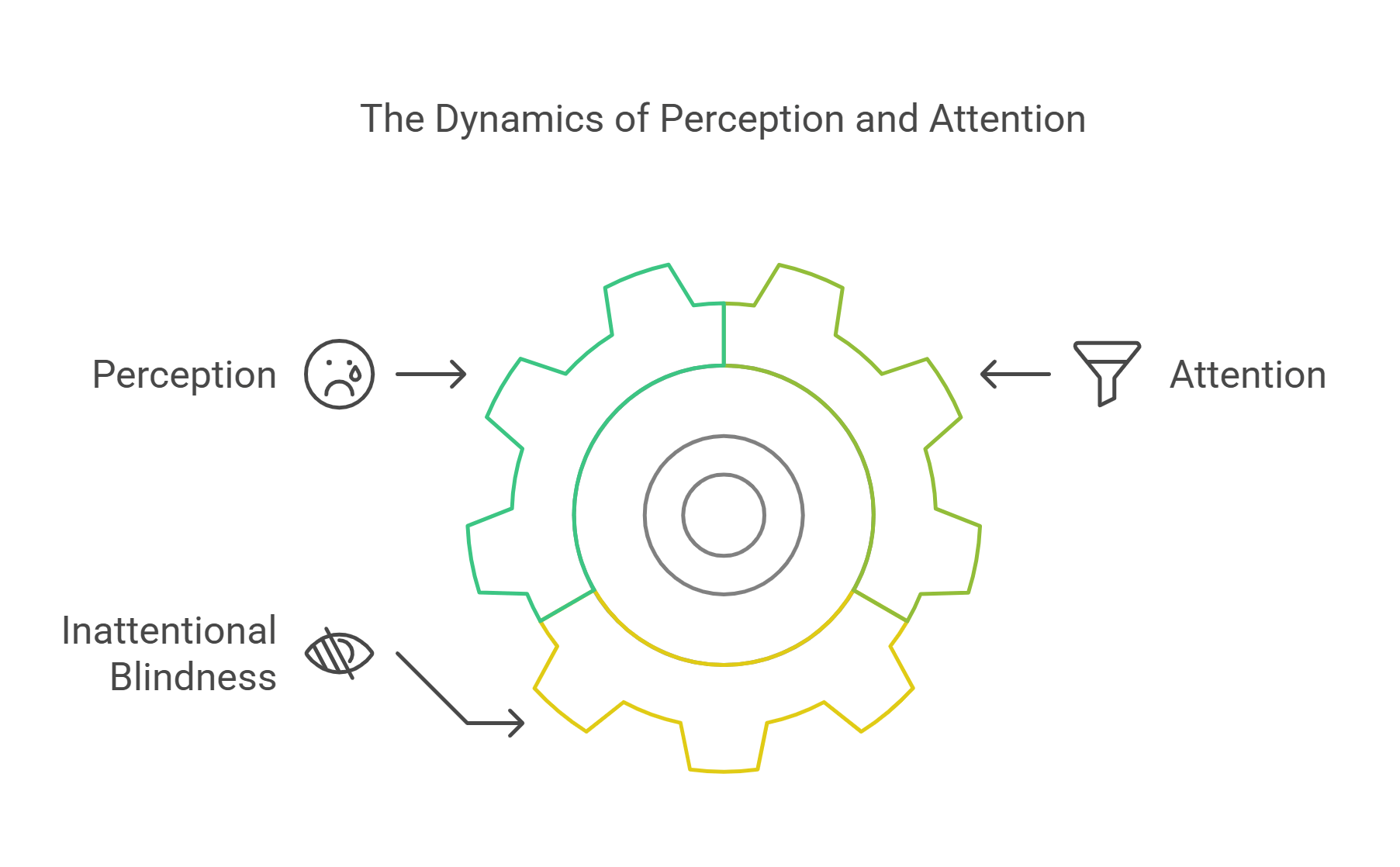 Dynamics Of Perception And Attention In Cognitive Science