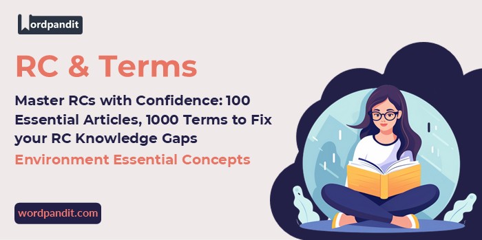 Environment Essential Concepts