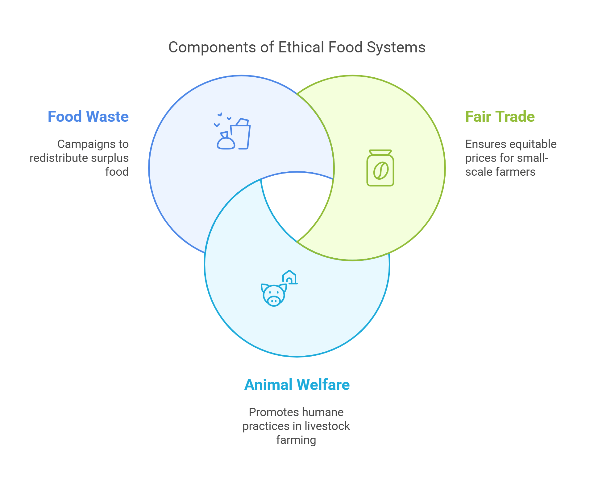 Ethical Food Systems And Their Key Components