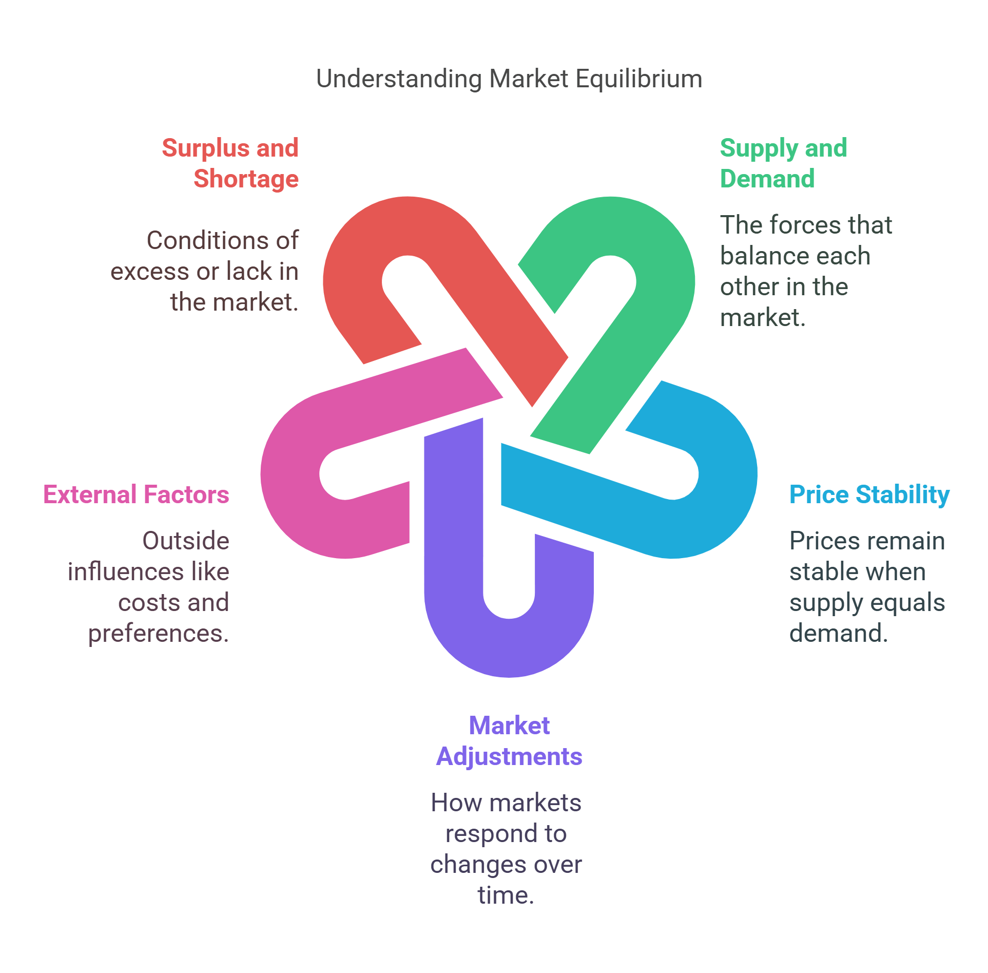 Exploring Market Equilibrium Dynamics