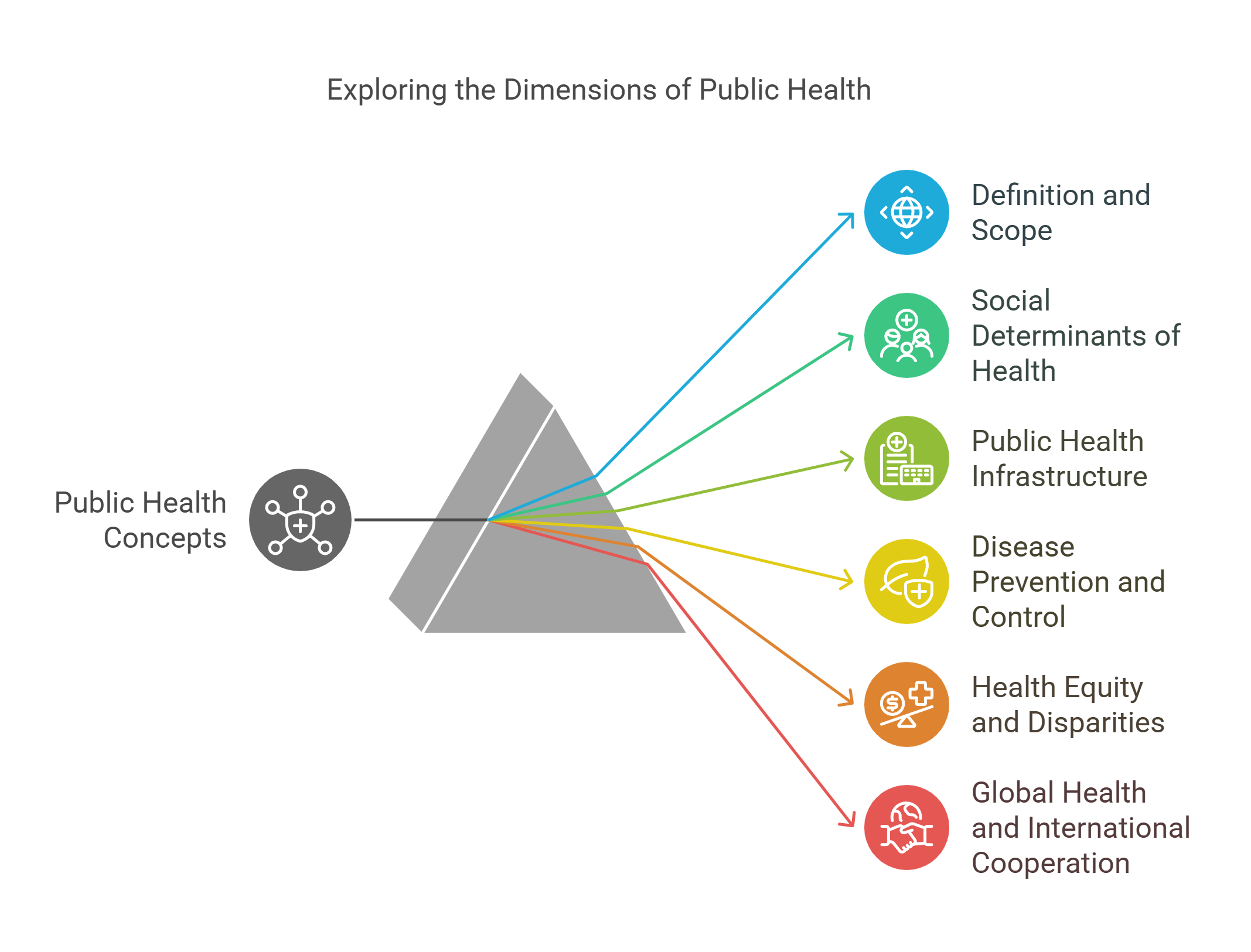 Exploring The Dimensions Of Public Health