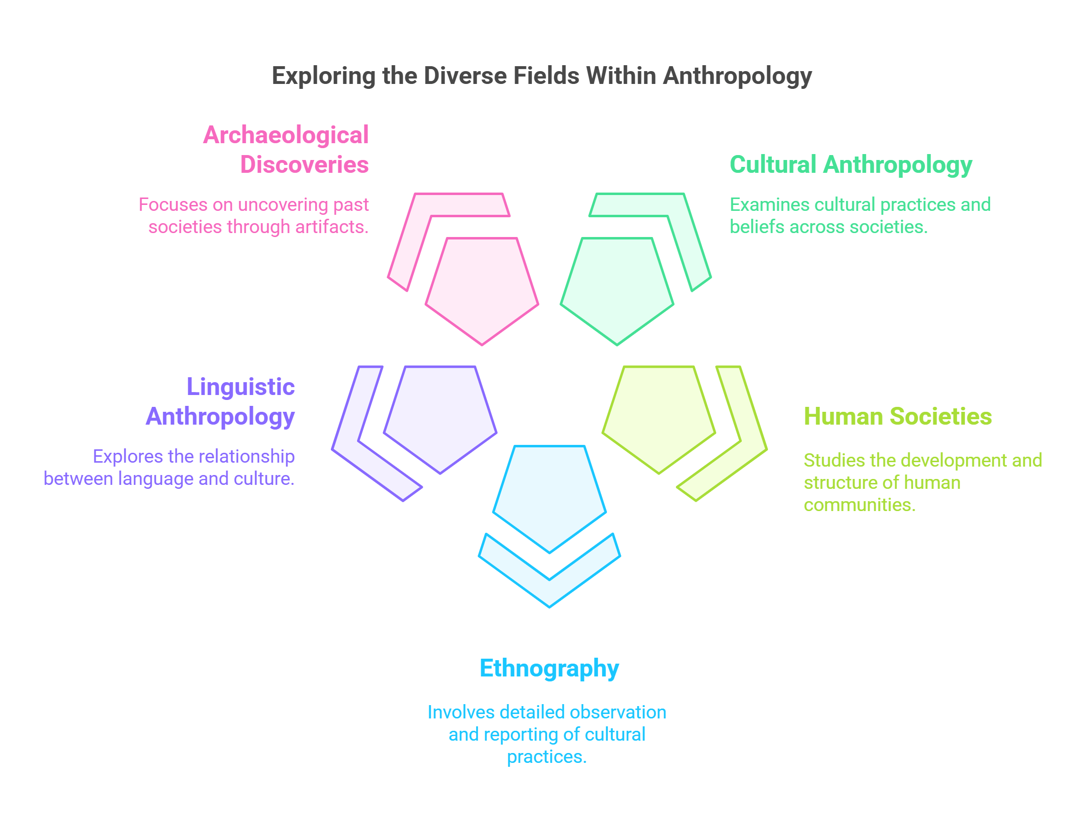 Exploring The Diverse Fields Within Anthropology