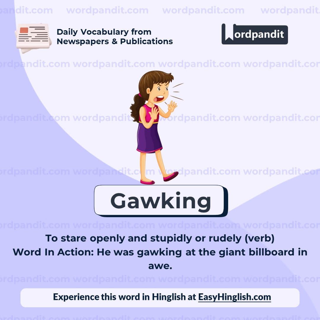 Gawking Vocabulary Post