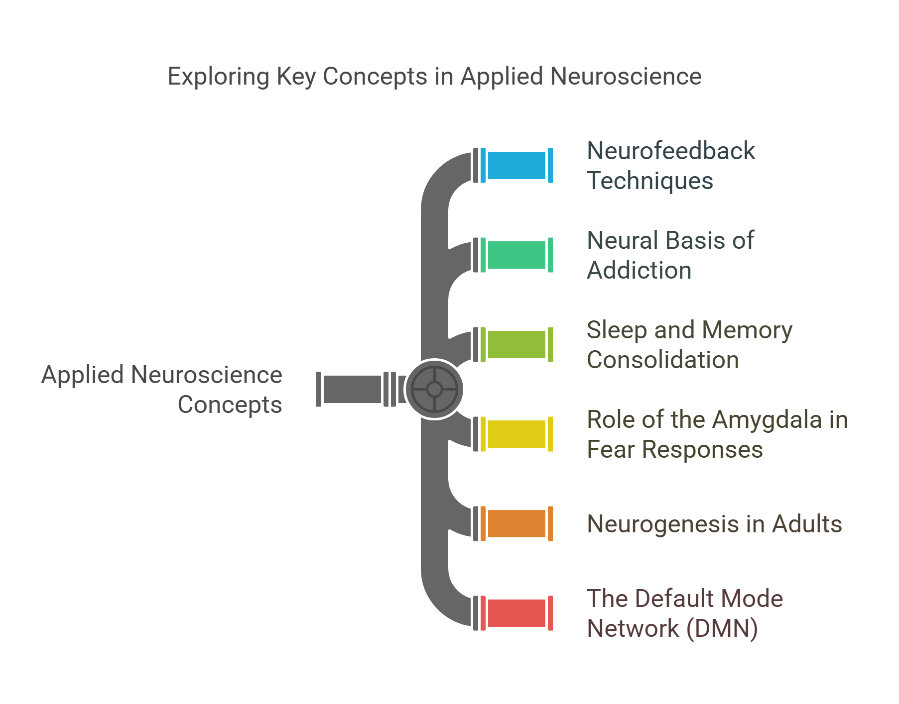 Key Concepts In Applied Neuroscience
