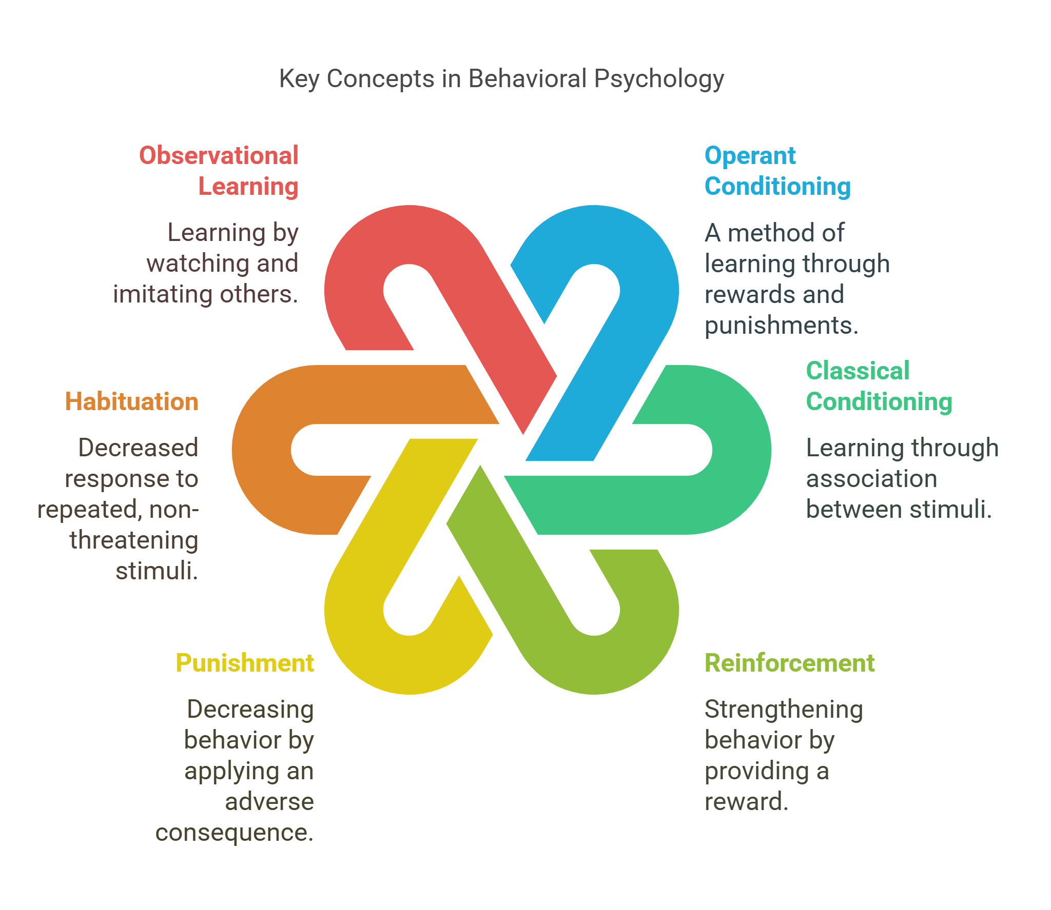 Key Concepts In Behavioral Psychology
