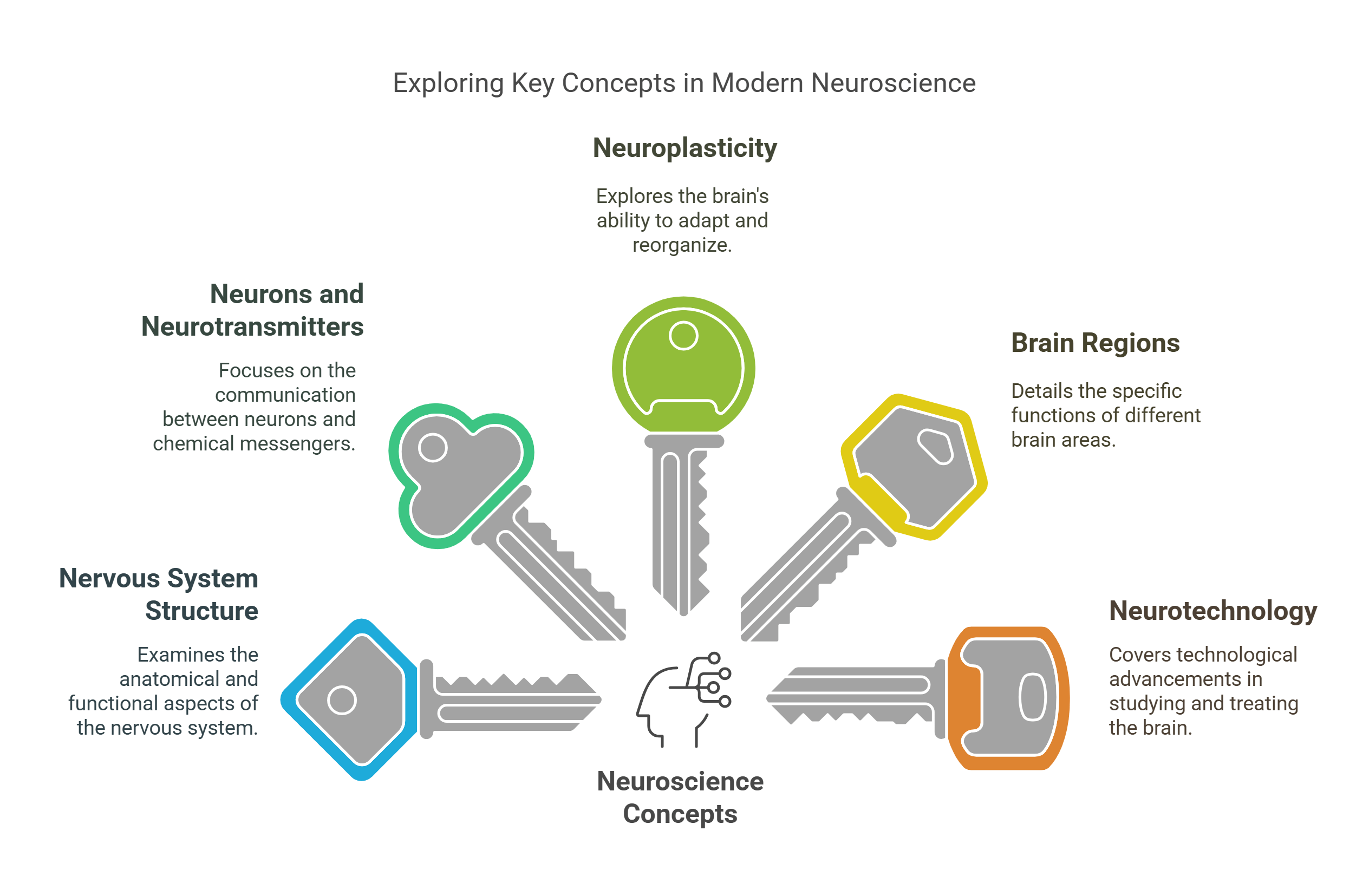 Key Concepts In Modern Neuroscience