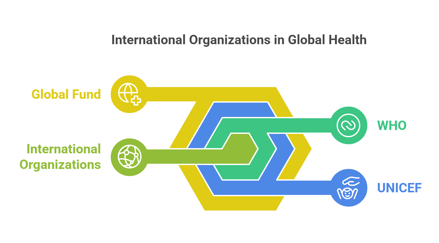 Key International Health Organizations