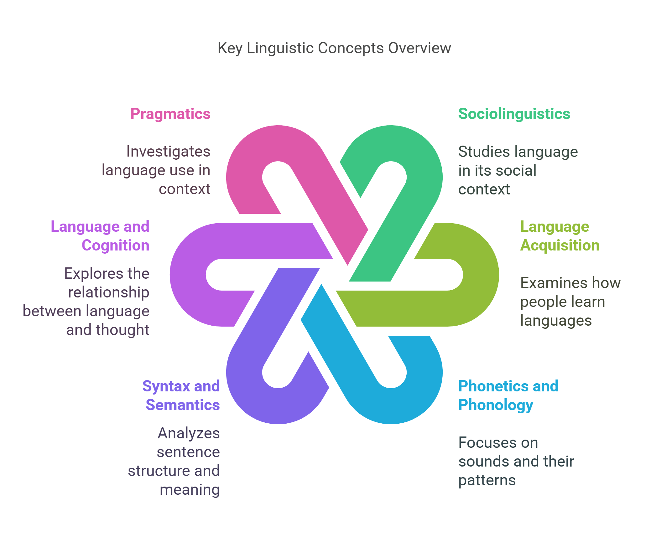 Key Linguistic Concepts Overview