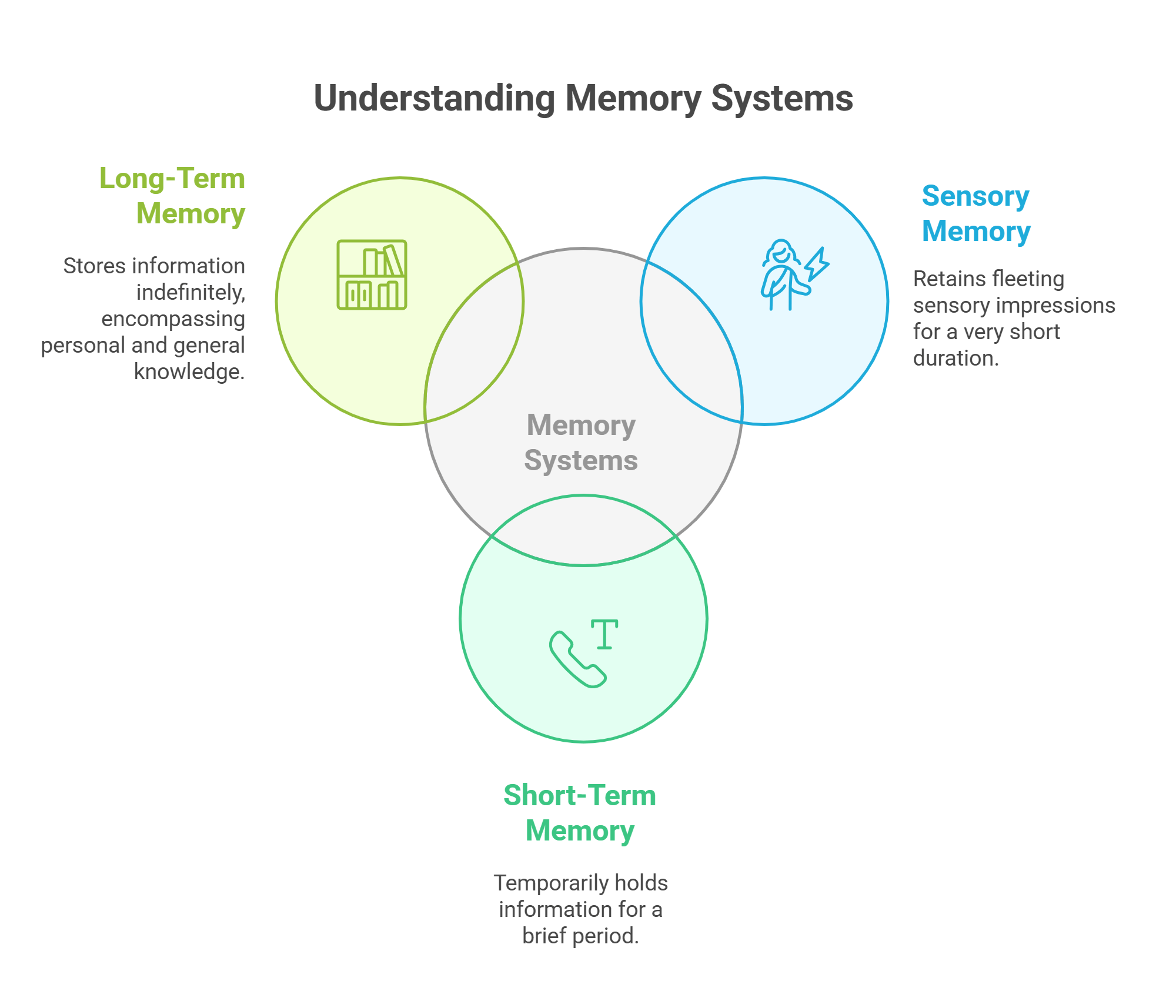 Memory Systems Explained Long Term, Short Term, And Sensory