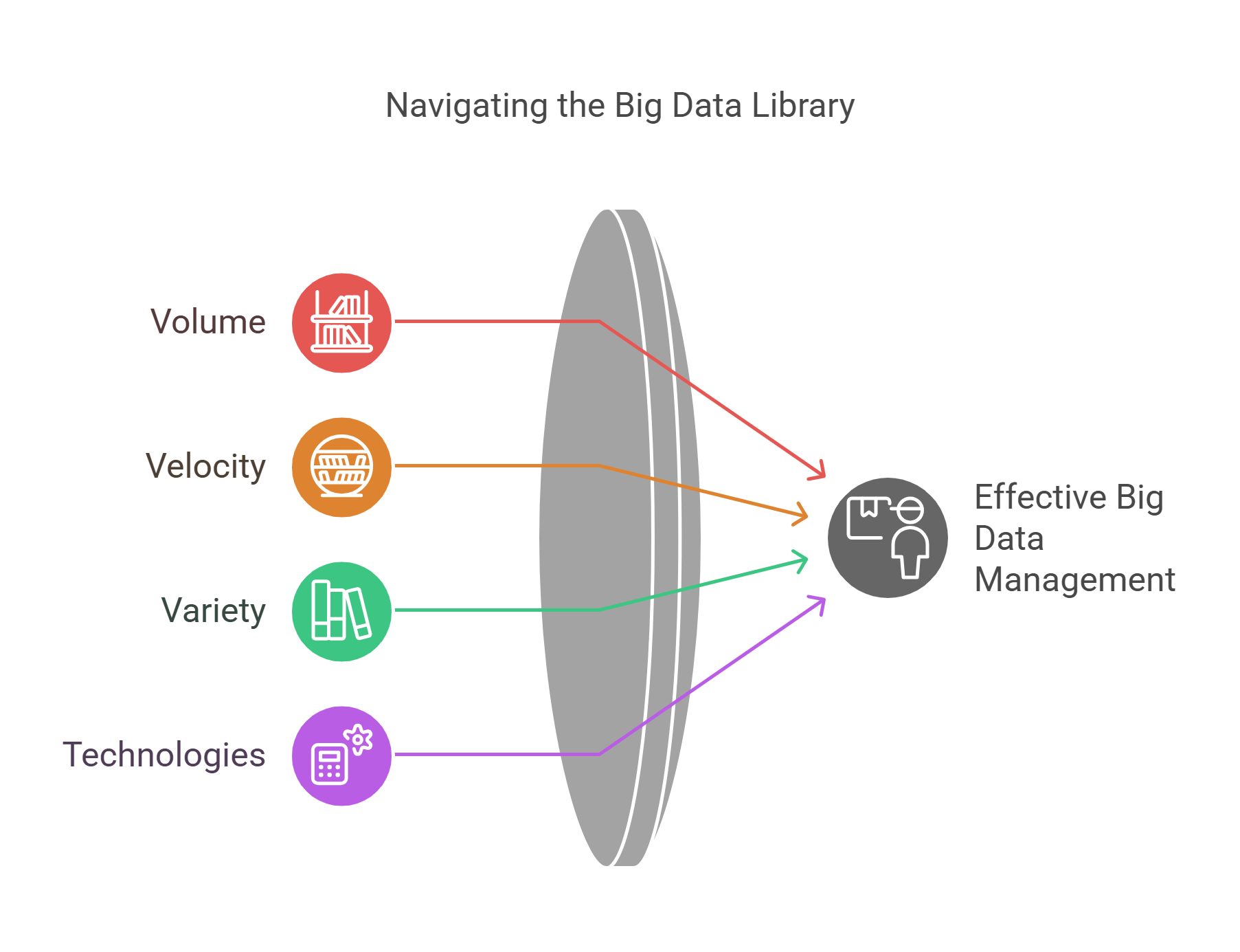 Navigating The Big Data Library Effectively
