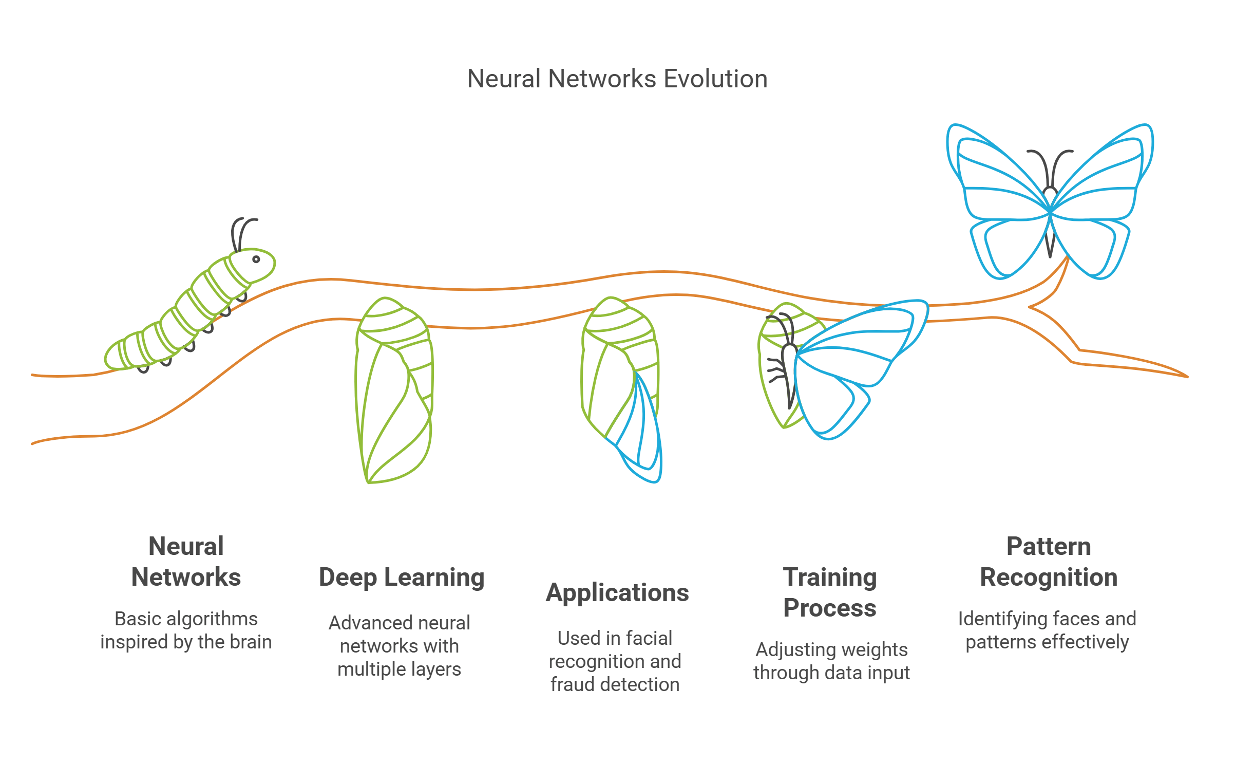Neural Networks Evolution Explained