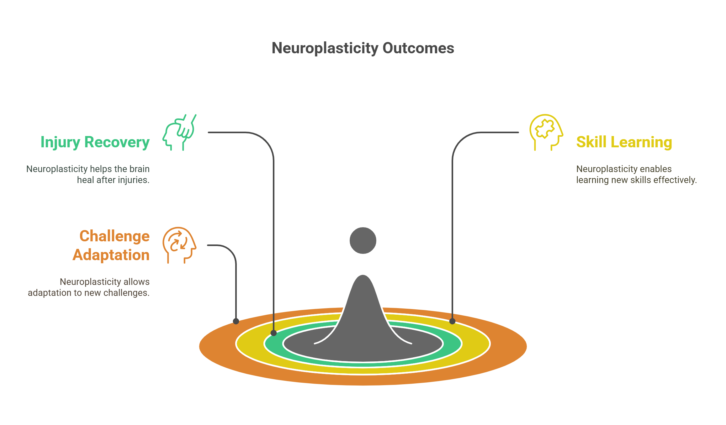 Neuroplasticity Outcomes And Brain Adaptation