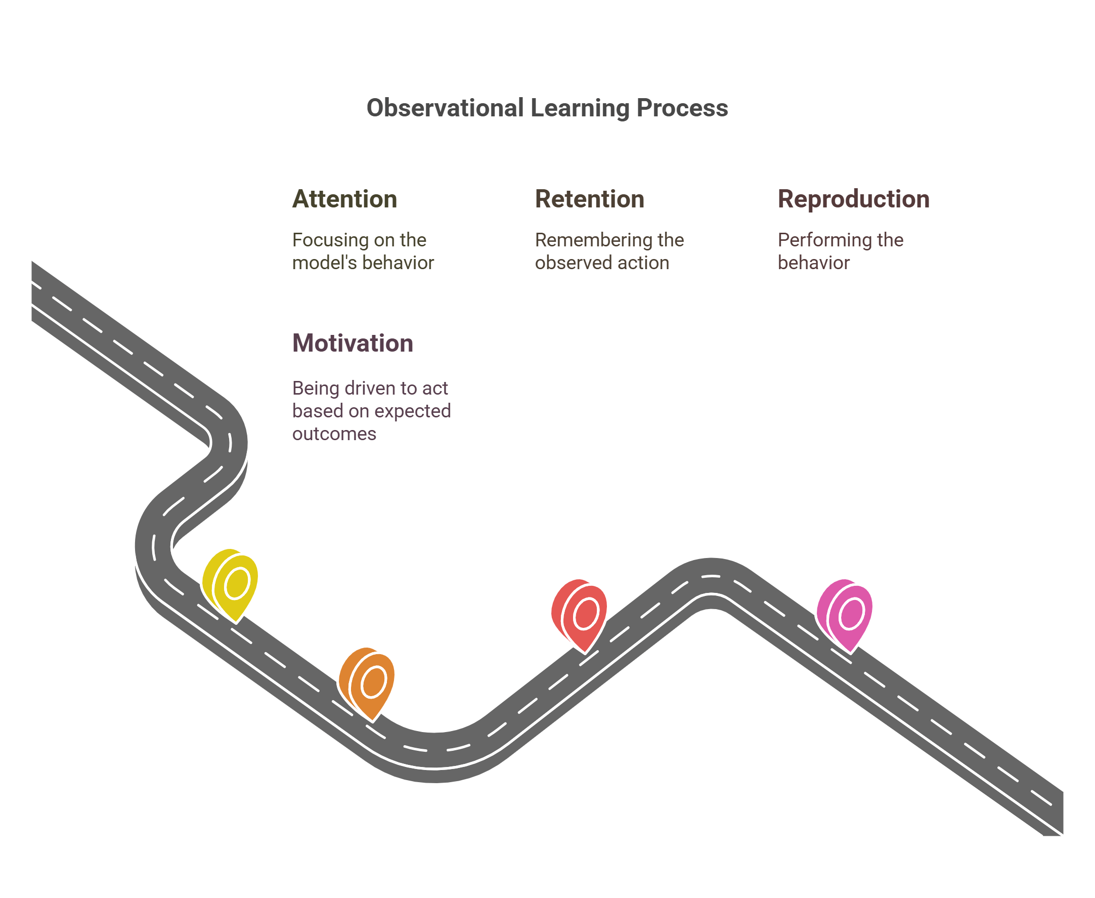 Observational Learning Process