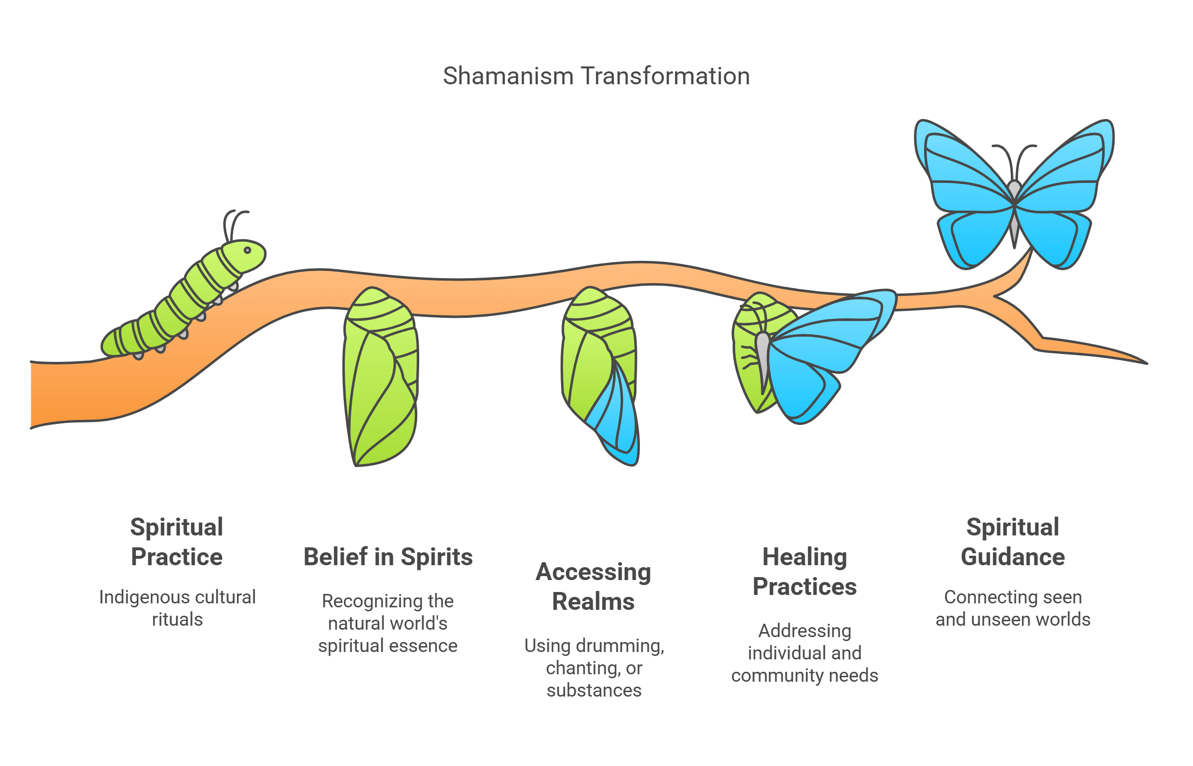 Shamanism Transformation A Metaphorical Journey