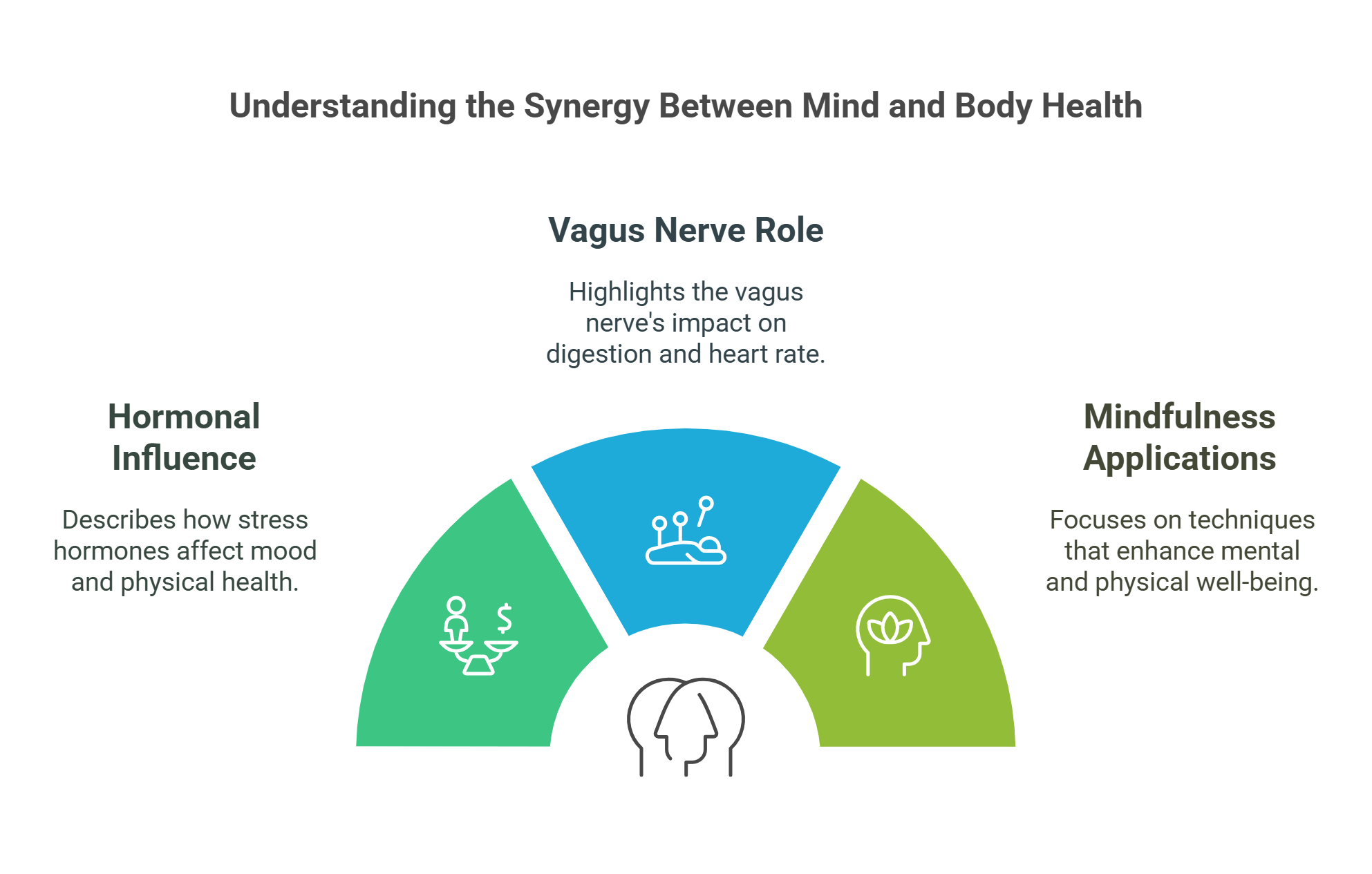 Synergy Between Mind And Body Vagus Nerve And Mindfulness