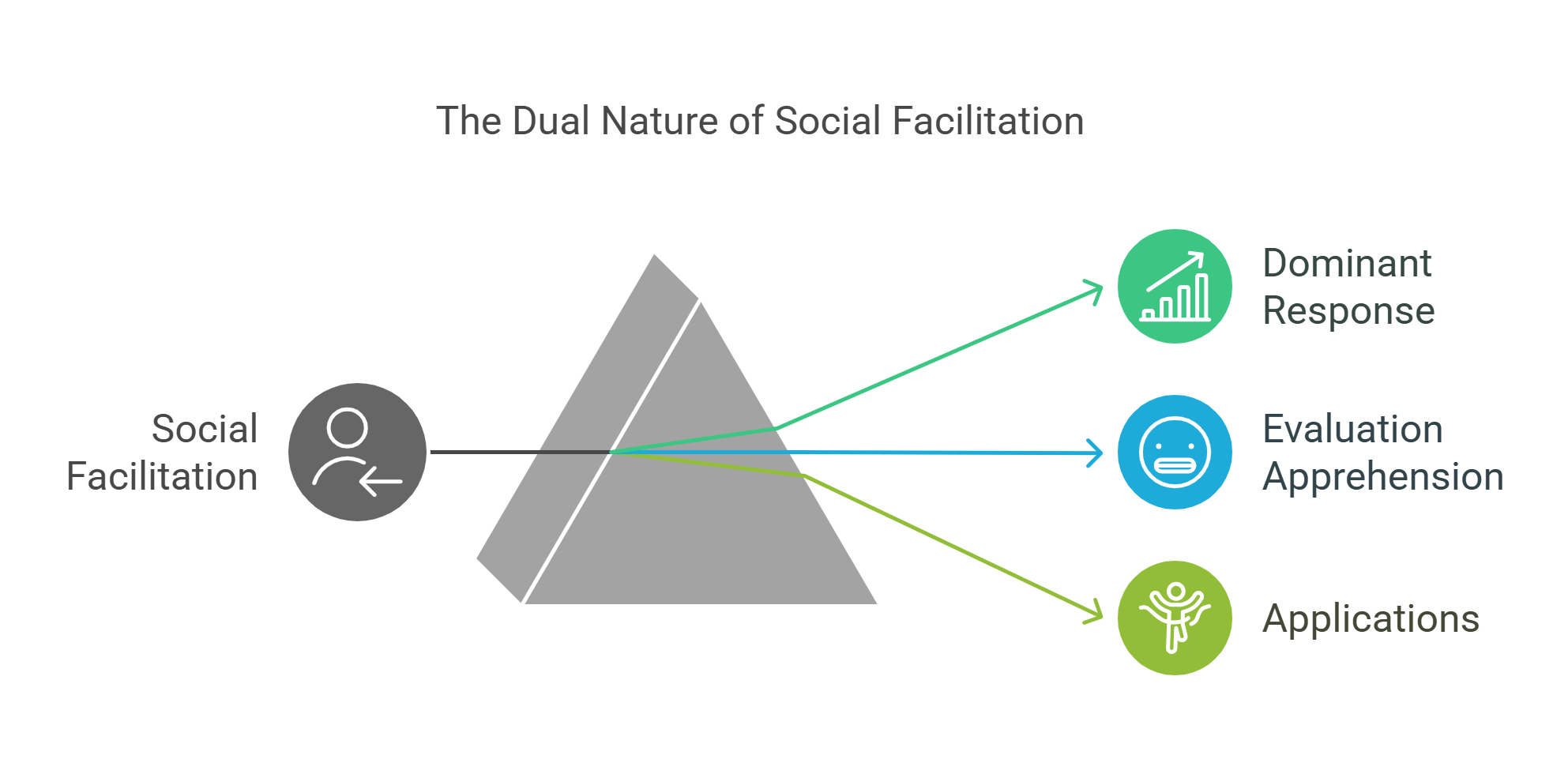The Dual Nature Of Social Facilitation