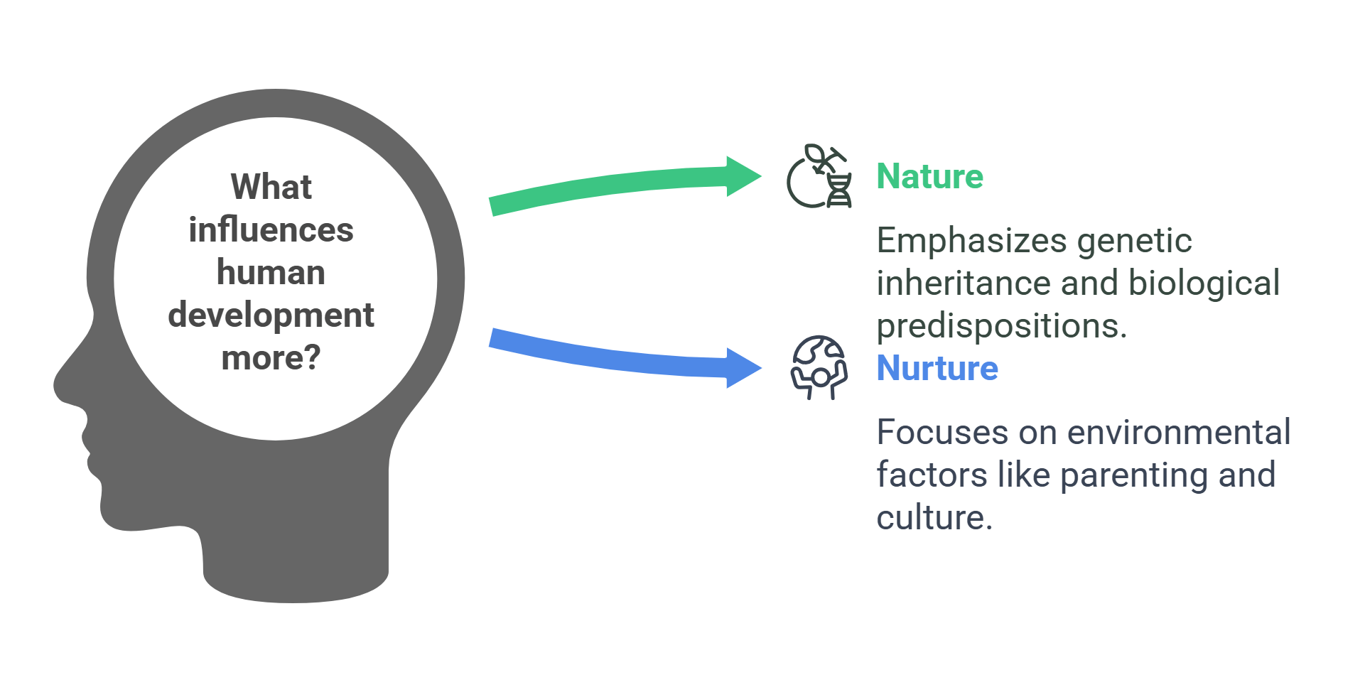 The Nature Vs. Nurture Debate In Human Development