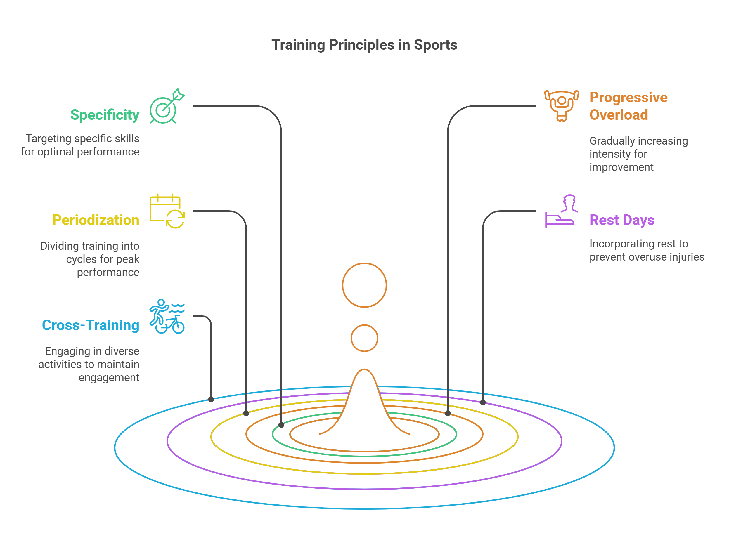 Training Principles For Sports Success