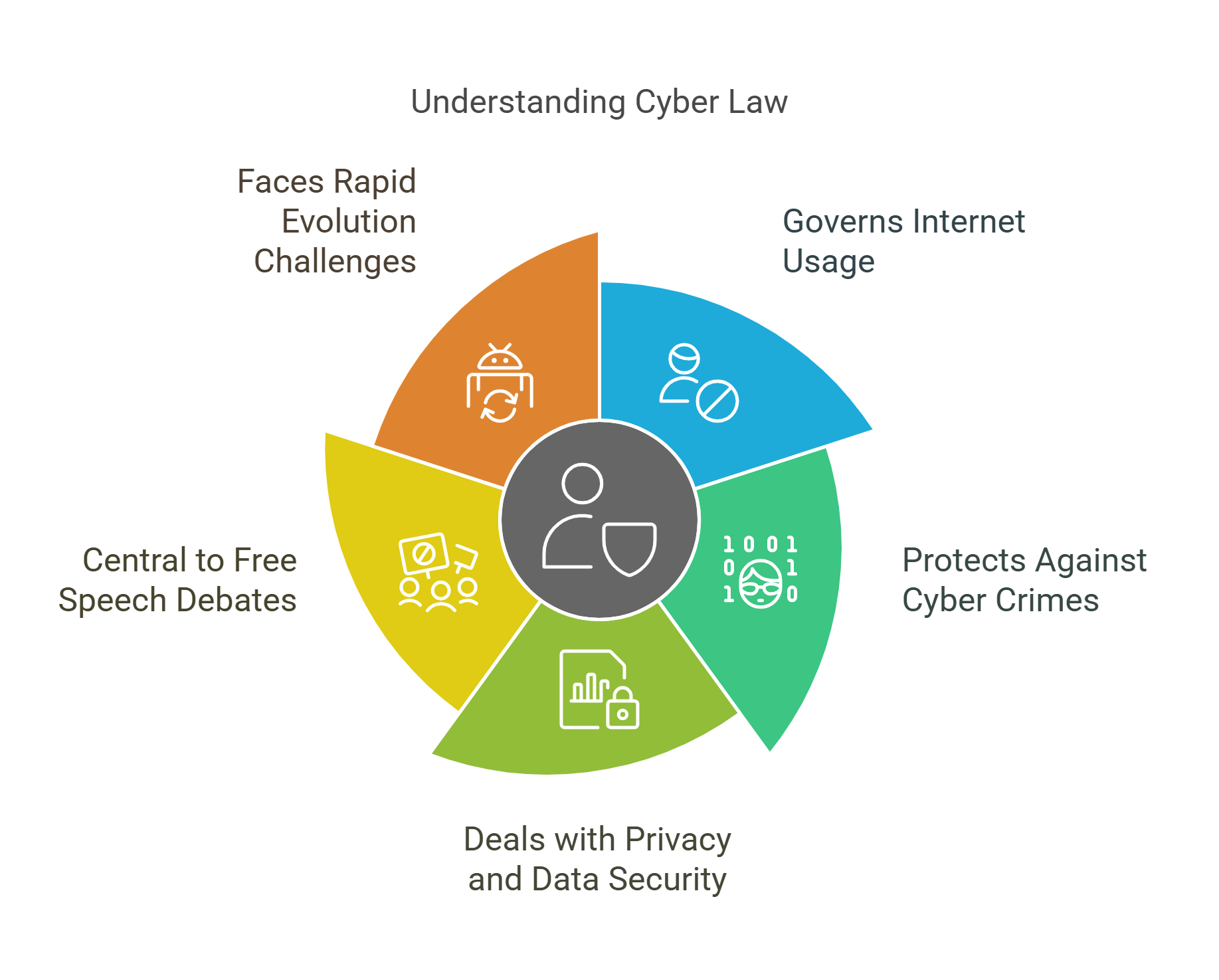 Understanding Cyber Law