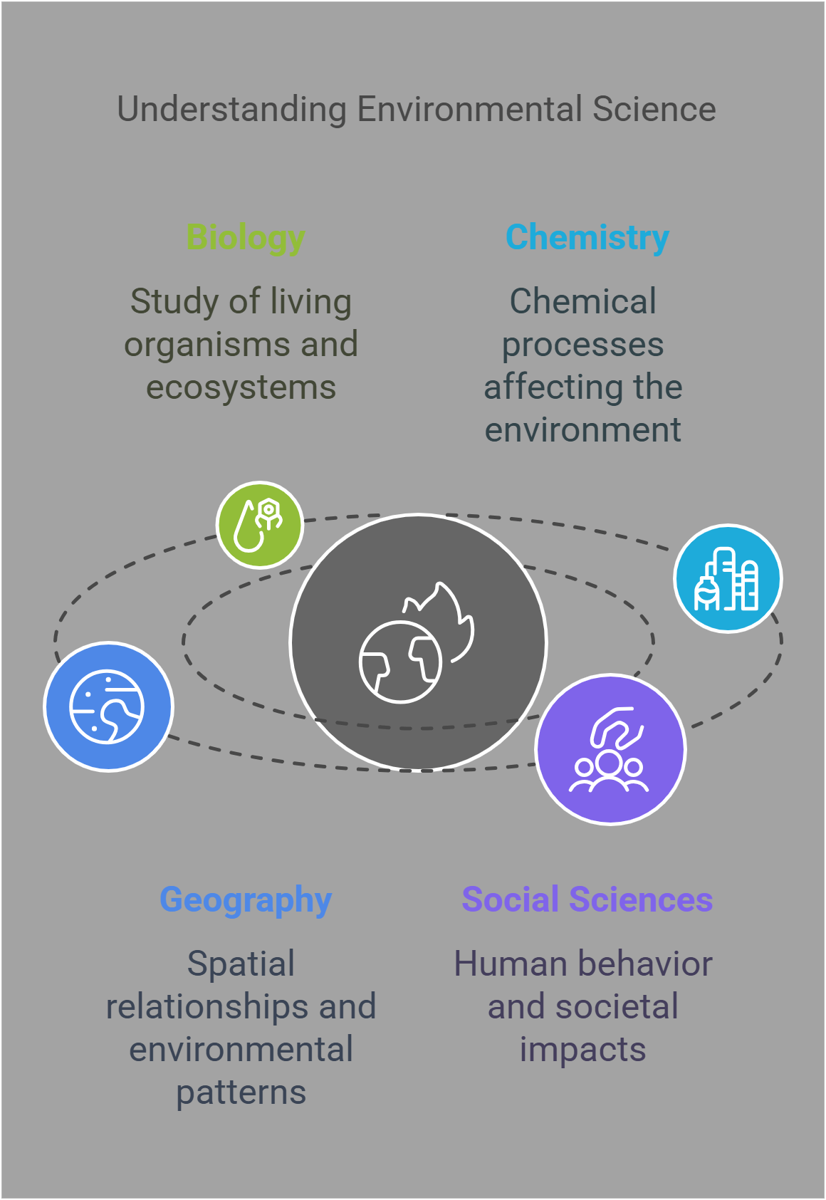 Understanding Environmental Science Key Disciplines