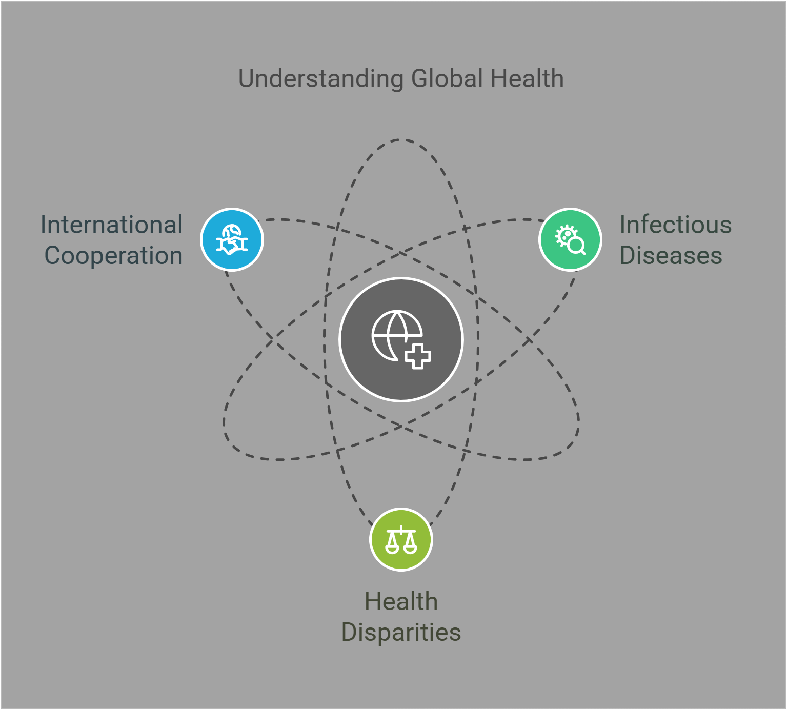 Understanding Global Health Key Focus Areas