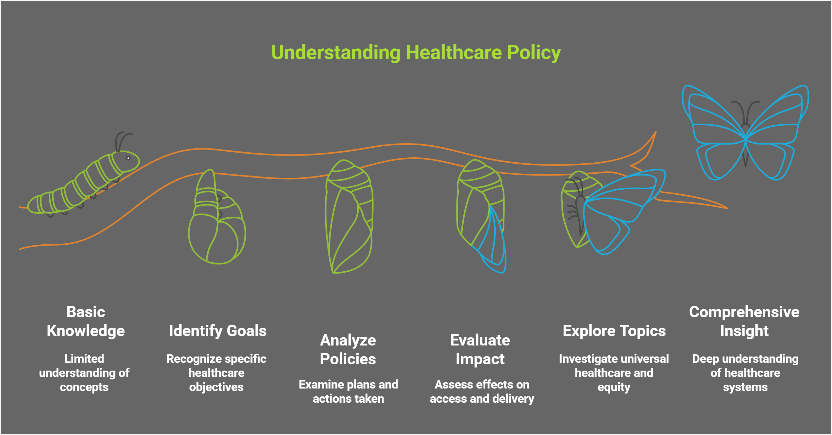Understanding Healthcare Policy Through Stages