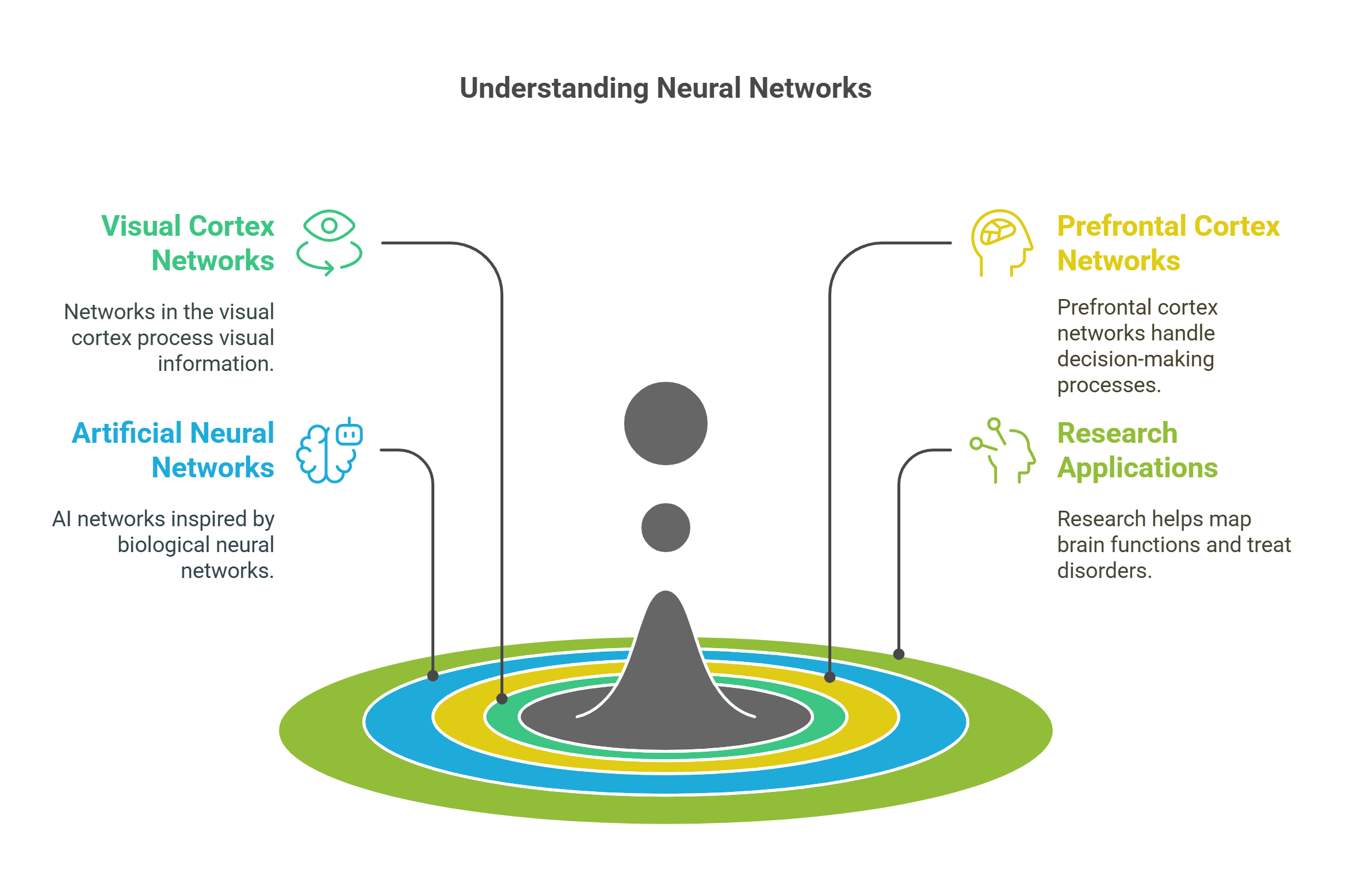 Understanding Neural Networks In Brain Function