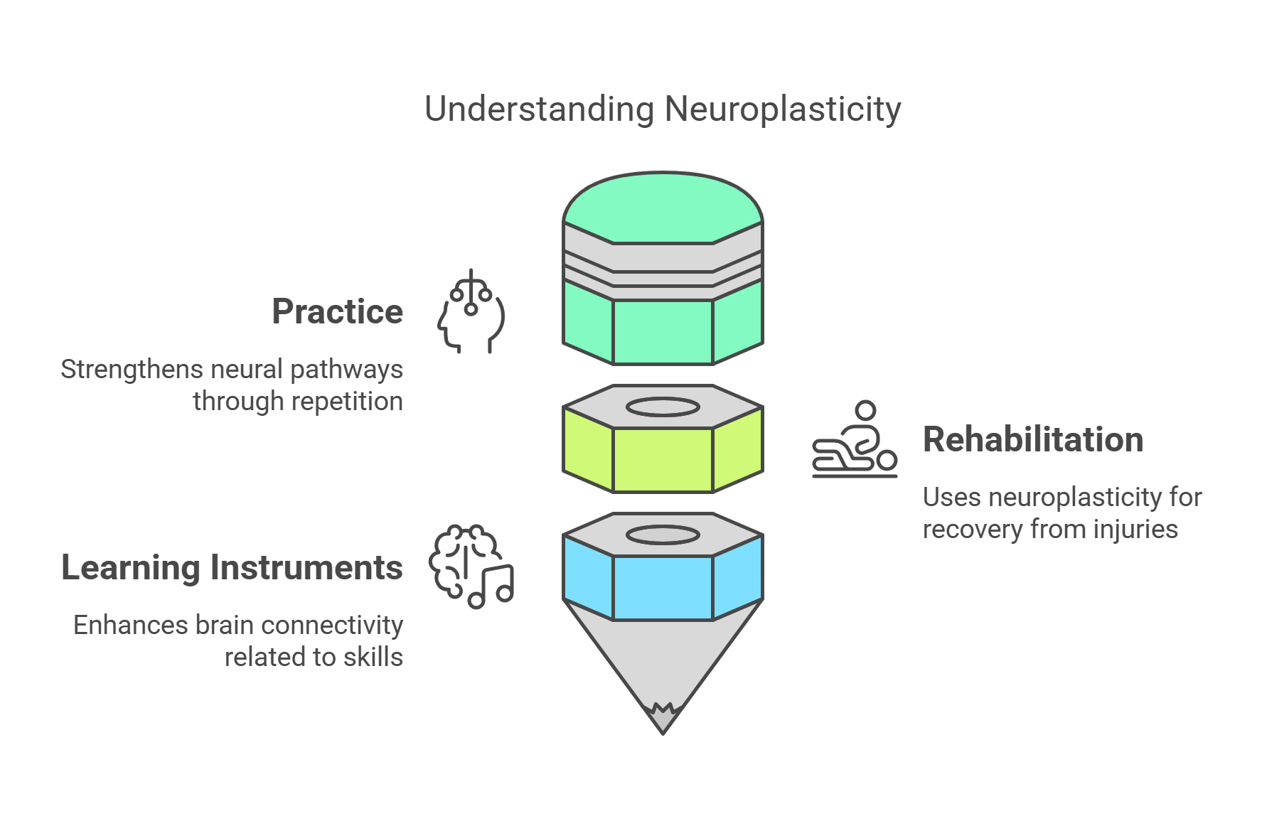 Understanding Neuroplasticity In Learning And Recovery