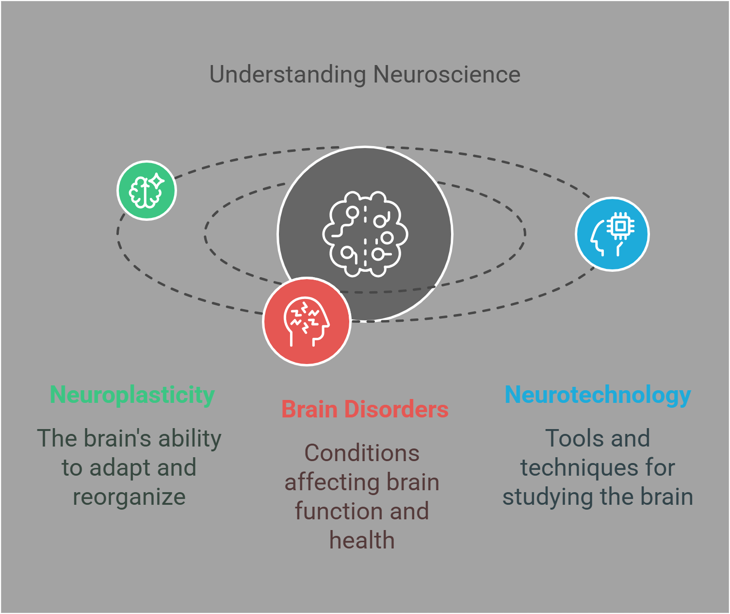 Understanding Neuroscience Neuroplasticity, Brain Disorders, And Neurotechnology