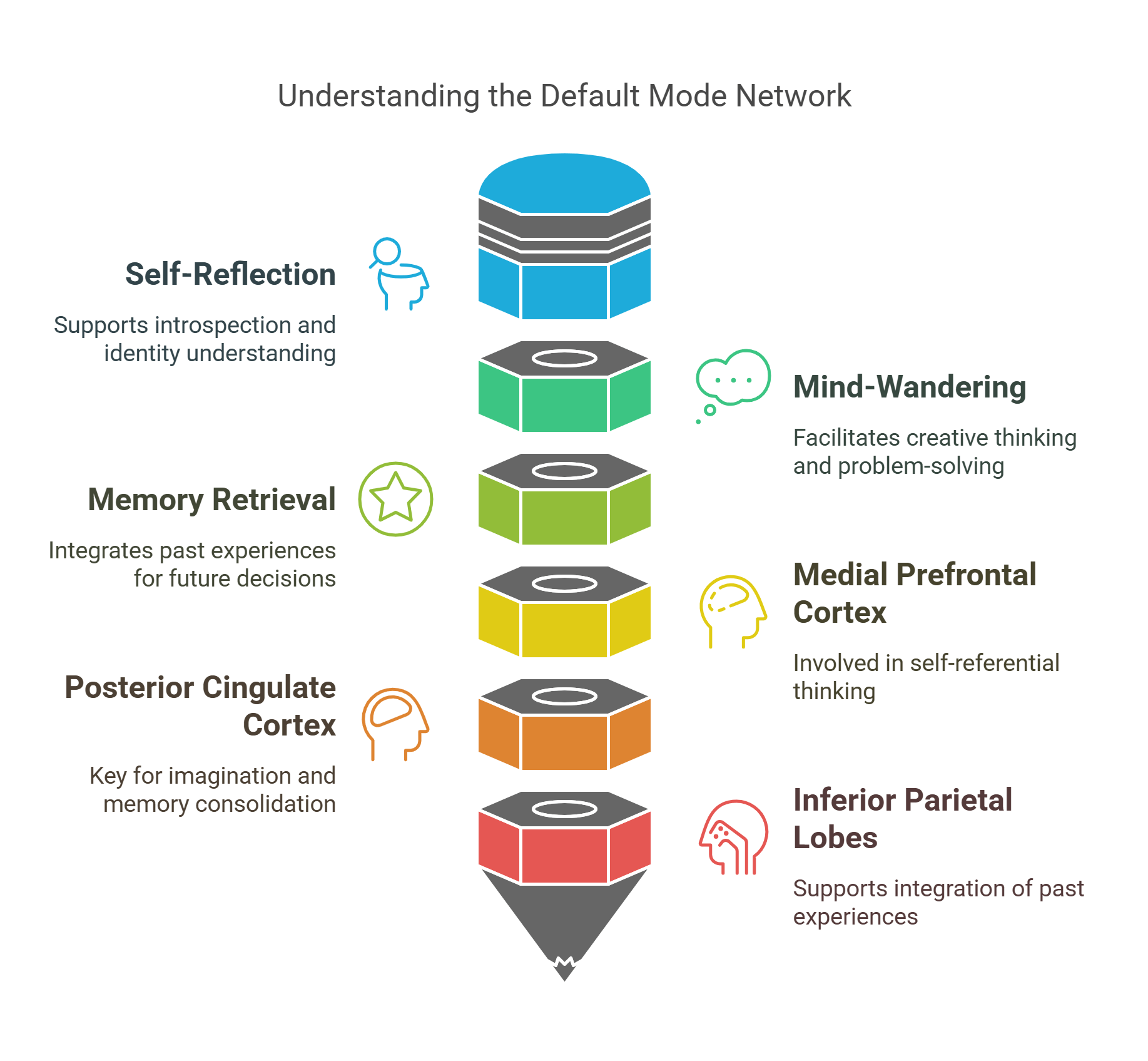 Understanding The Default Mode Network (dmn)