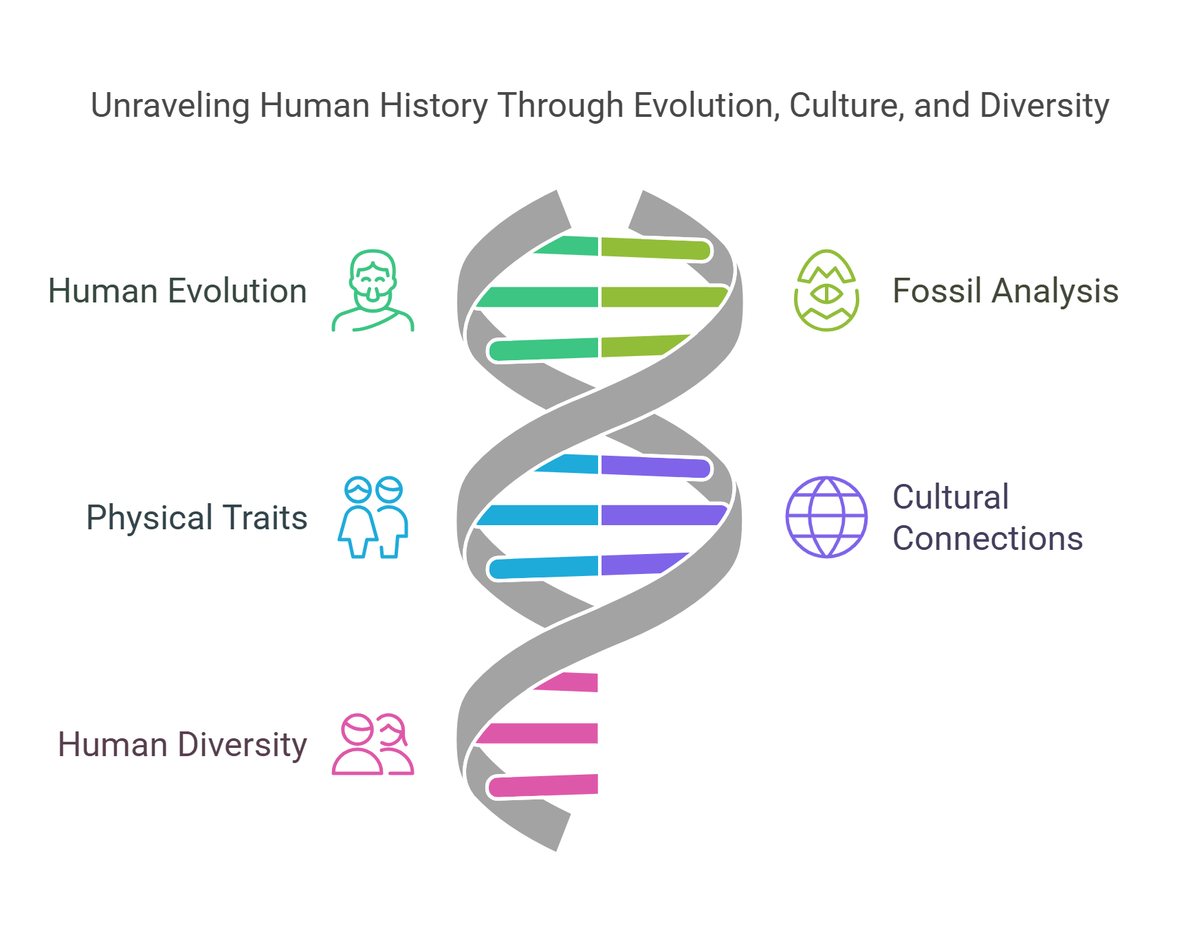 Unraveling Human History Through Evolution, Culture, And Diversity