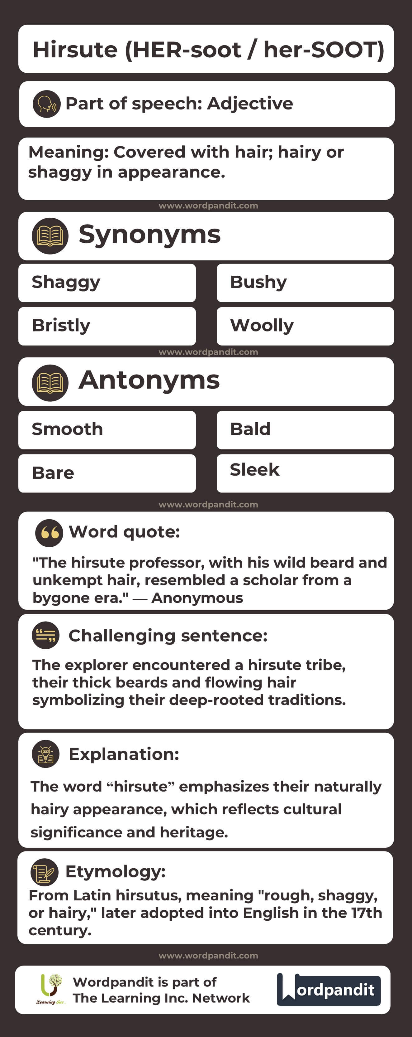 Hirsute Flashcard