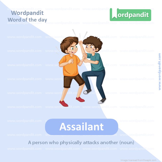 Assailant Picture Vocabulary