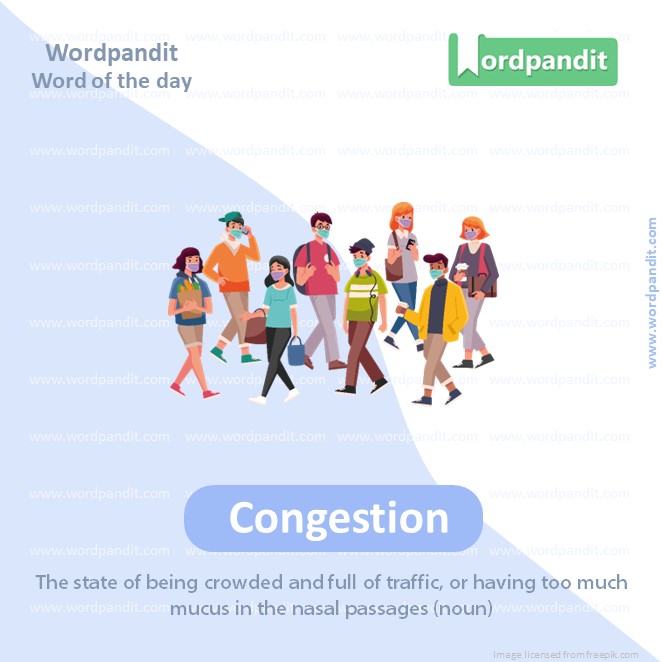 Congestion Picture Vocabulary