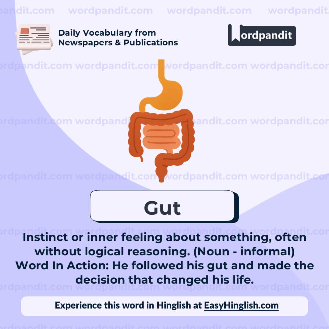 Gut